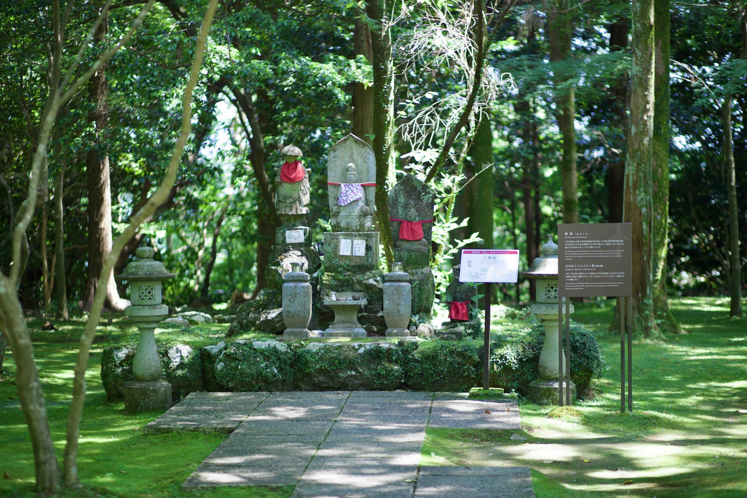 Chikurinji Temple five-story pagoda in a cedar forest in Kochi