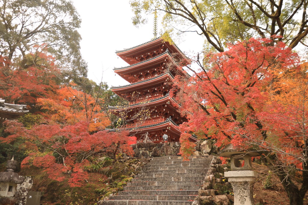 Chikurinji Temple moss garden