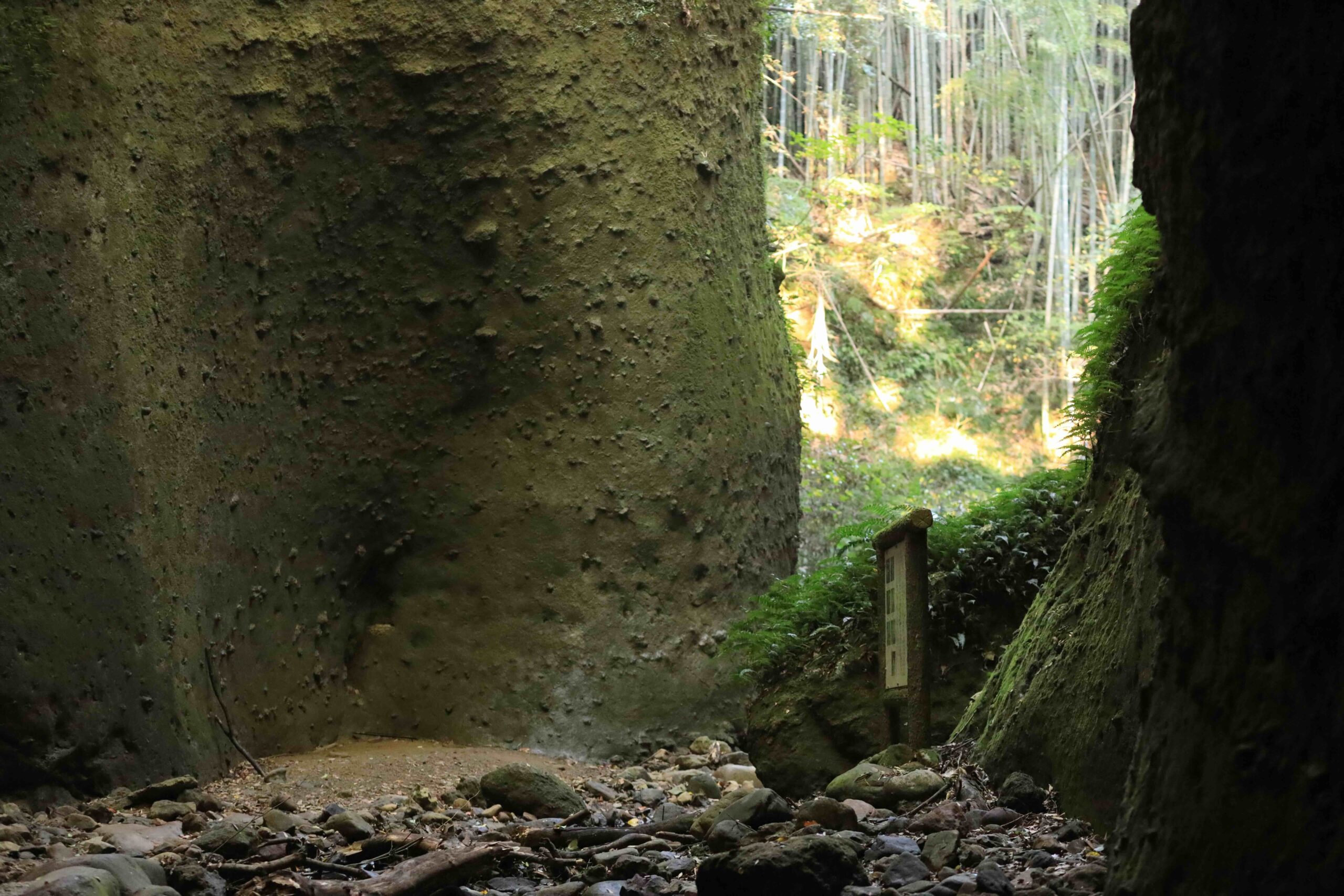 Ioki Valley scenic gorge