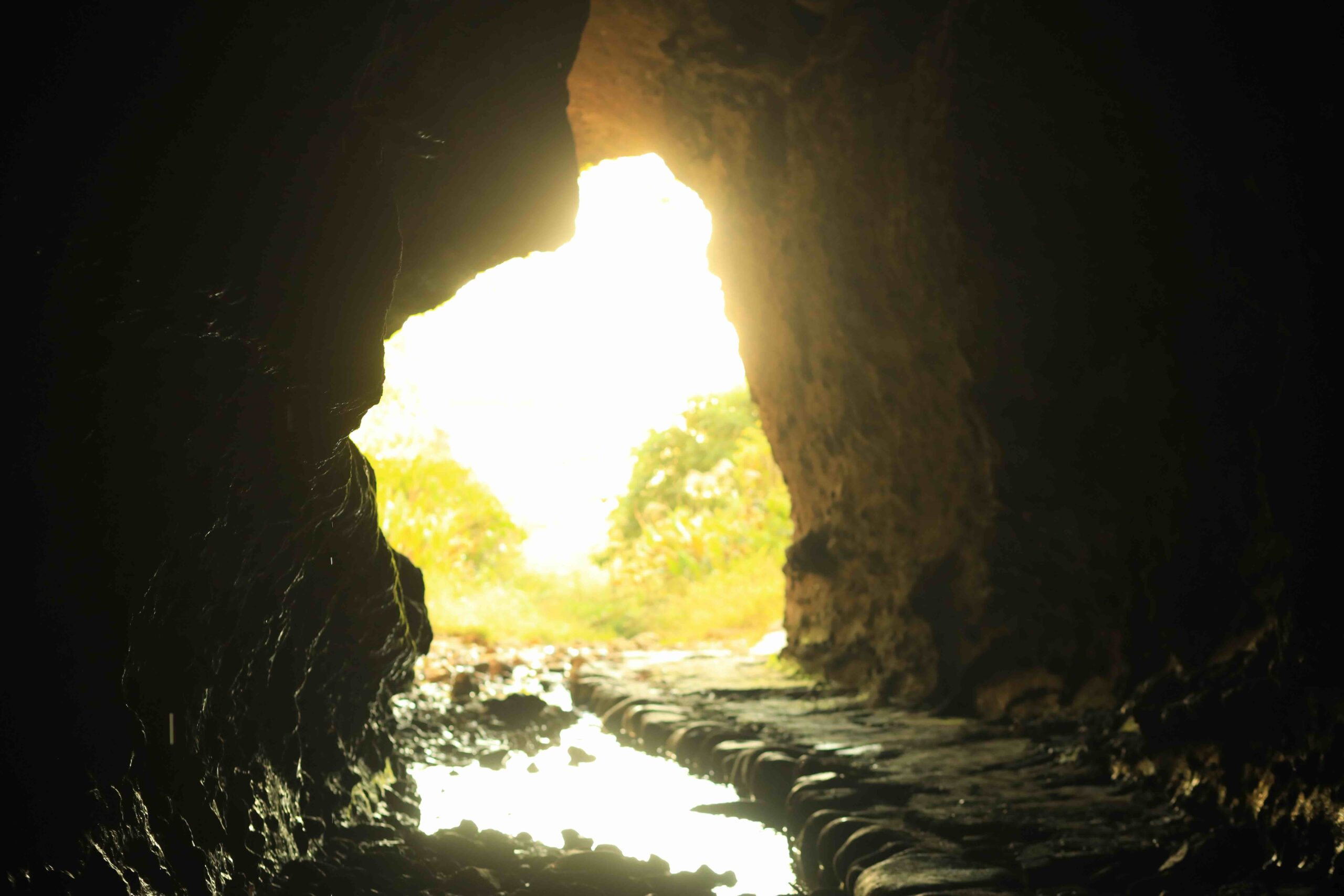 Ioki Valley nature scenery