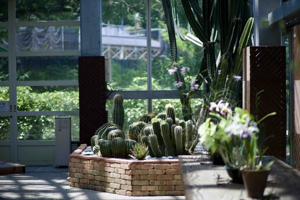 Makino Botanical Garden walking path