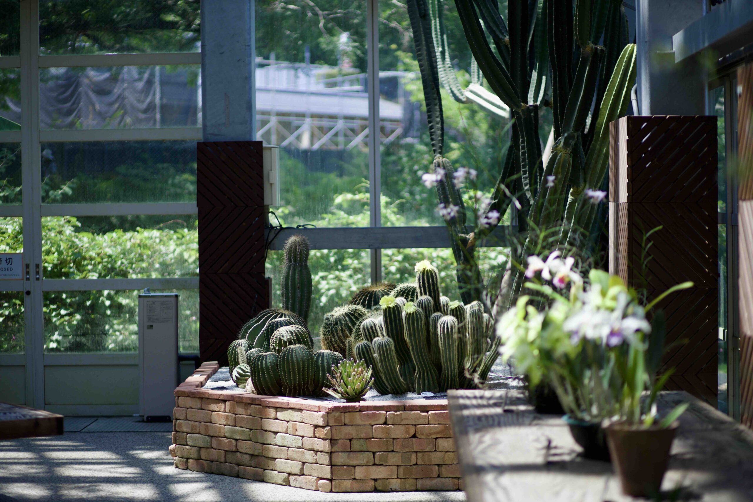 Makino Botanical Garden walking path