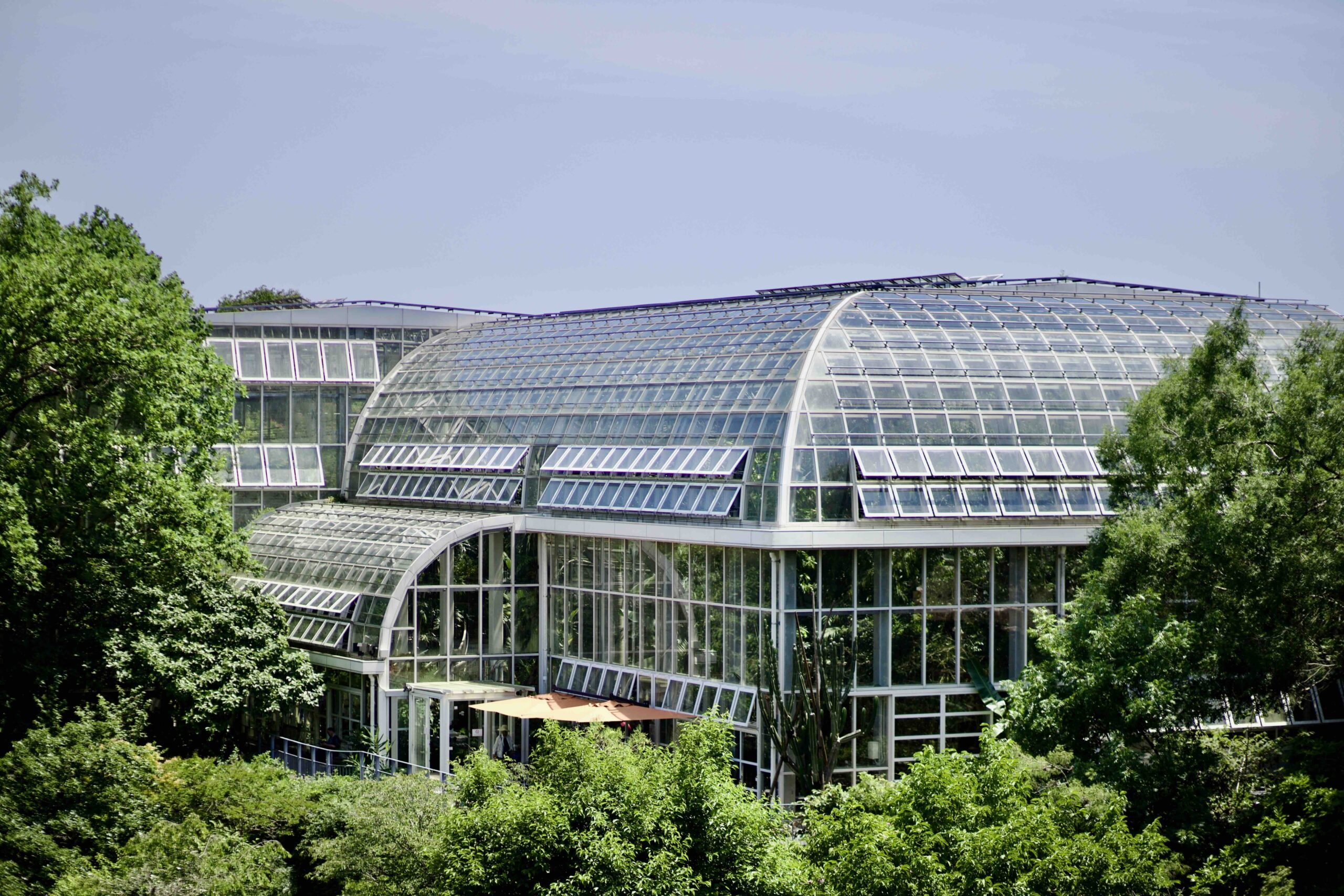 Makino Botanical Garden plant exhibits