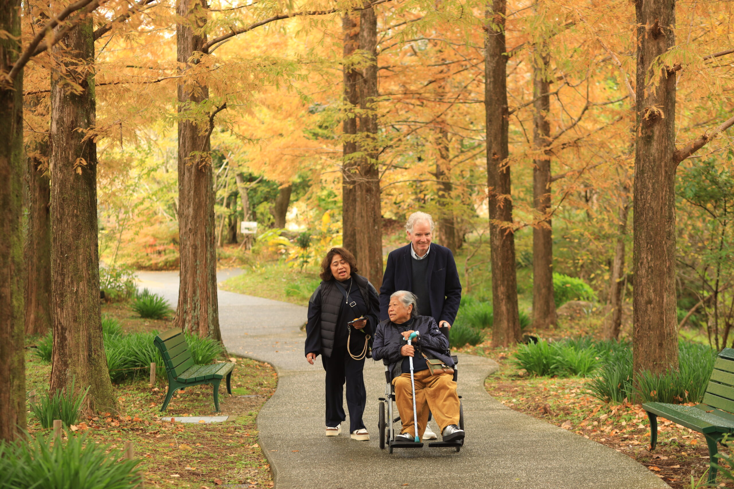 Monet Garden Kochi water lilies