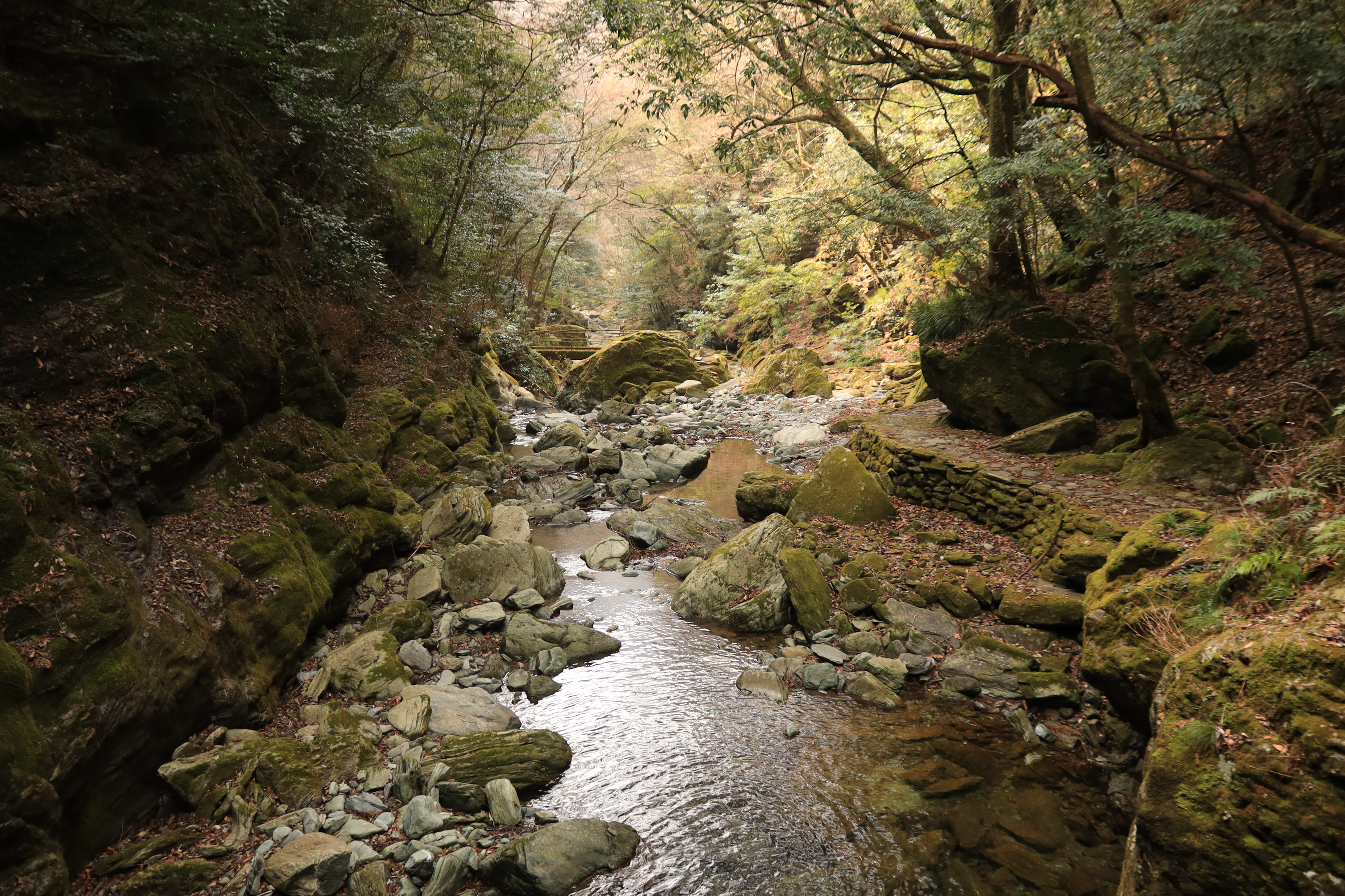 Mountain stream flowing through moss-covered rocks in the forest near Hiryu Falls