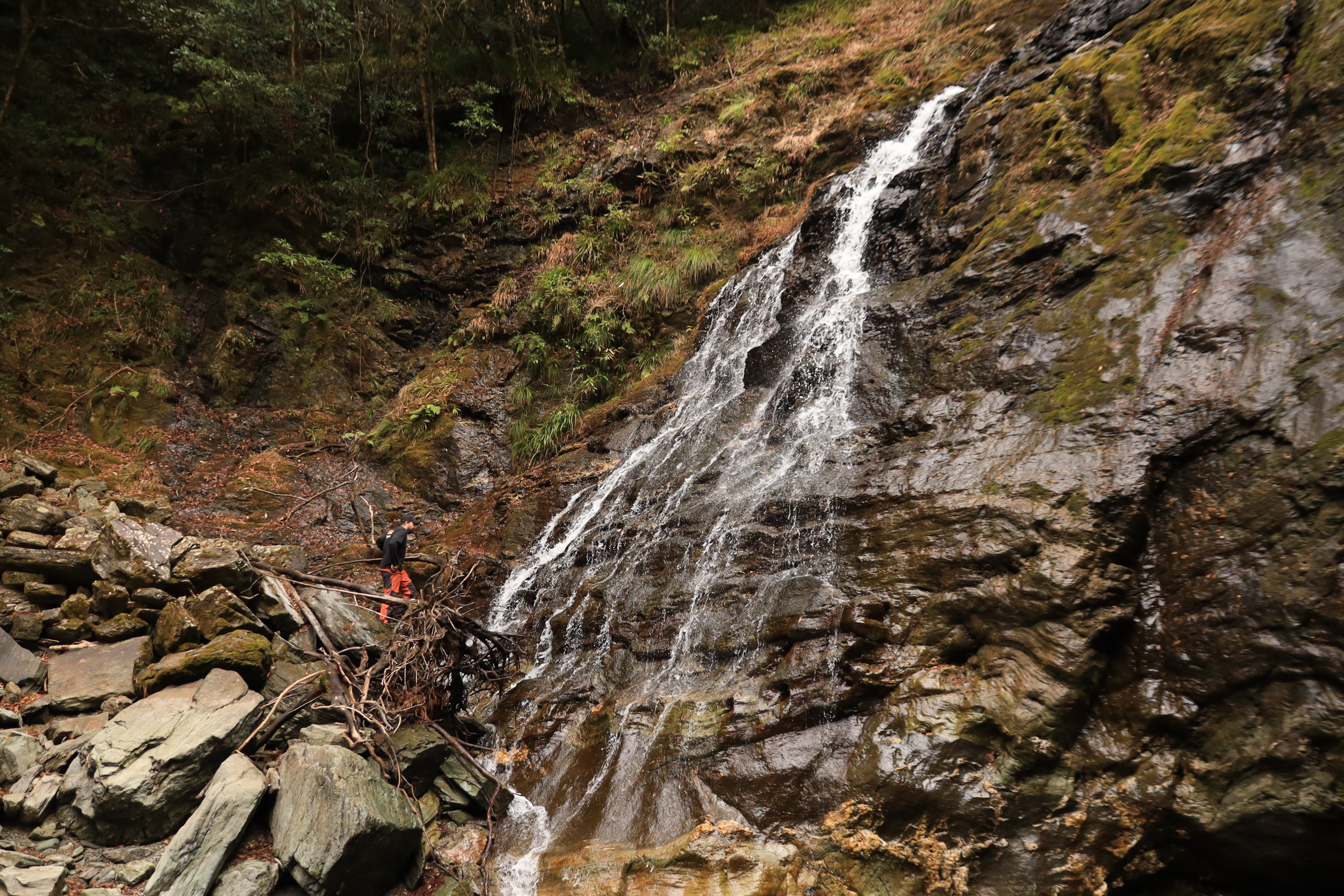 Waterfall cascading down moss-covered rocks in the Yasui Valley forest
