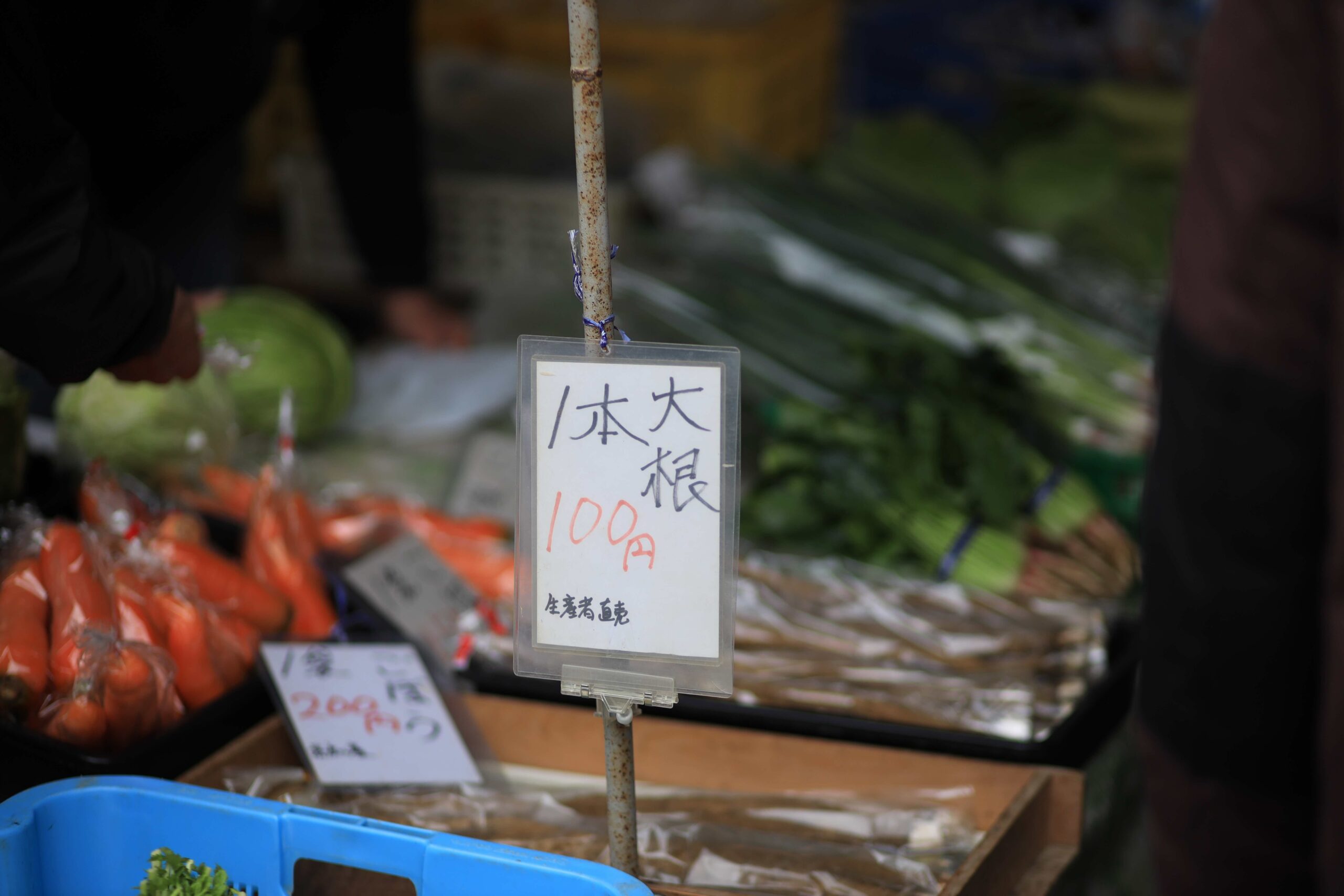 Handwritten price sign for daikon radish 100 yen at Kochi Sunday Market
