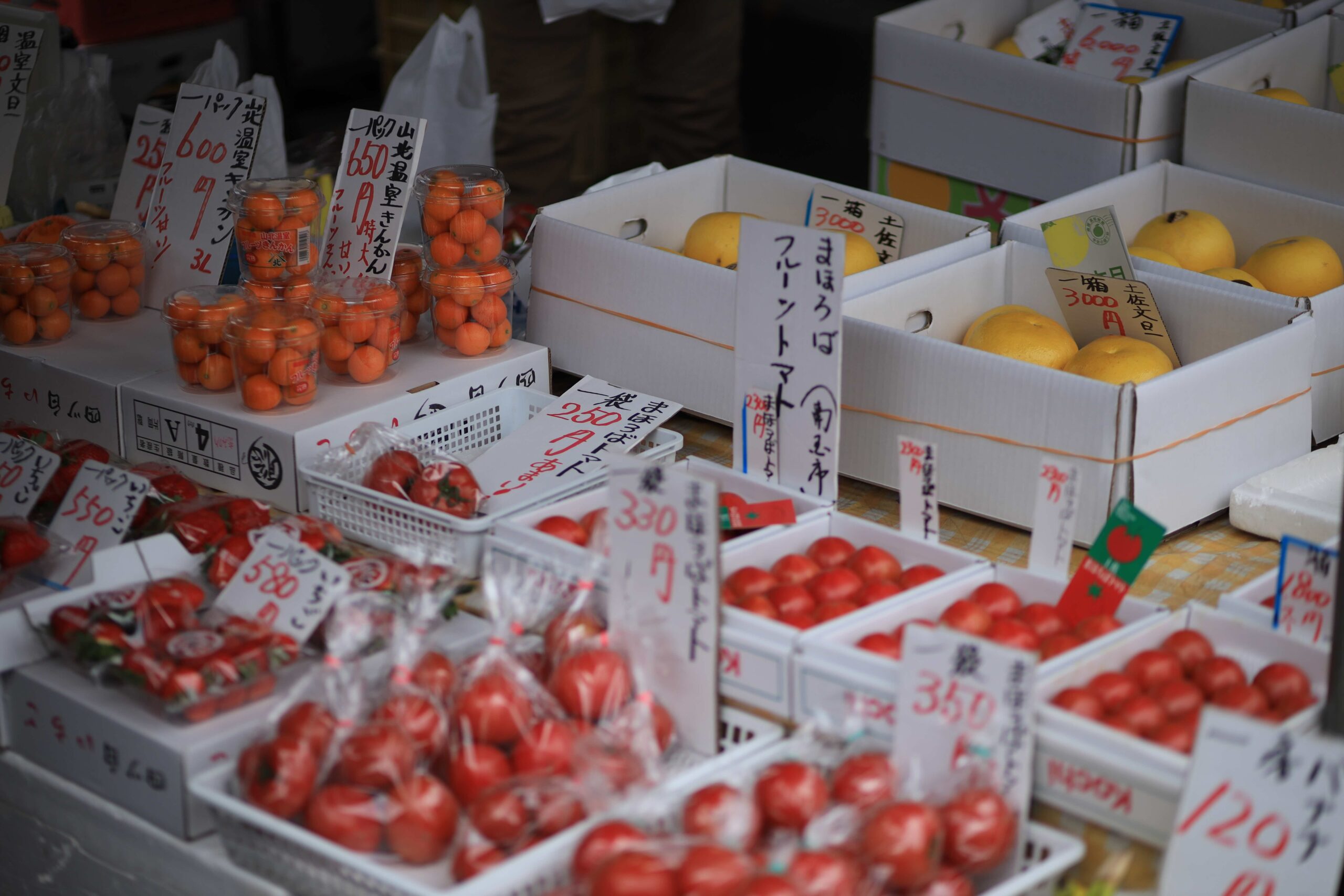 Homemade sushi rolls and prepared foods displayed at Kochi Sunday Market stall