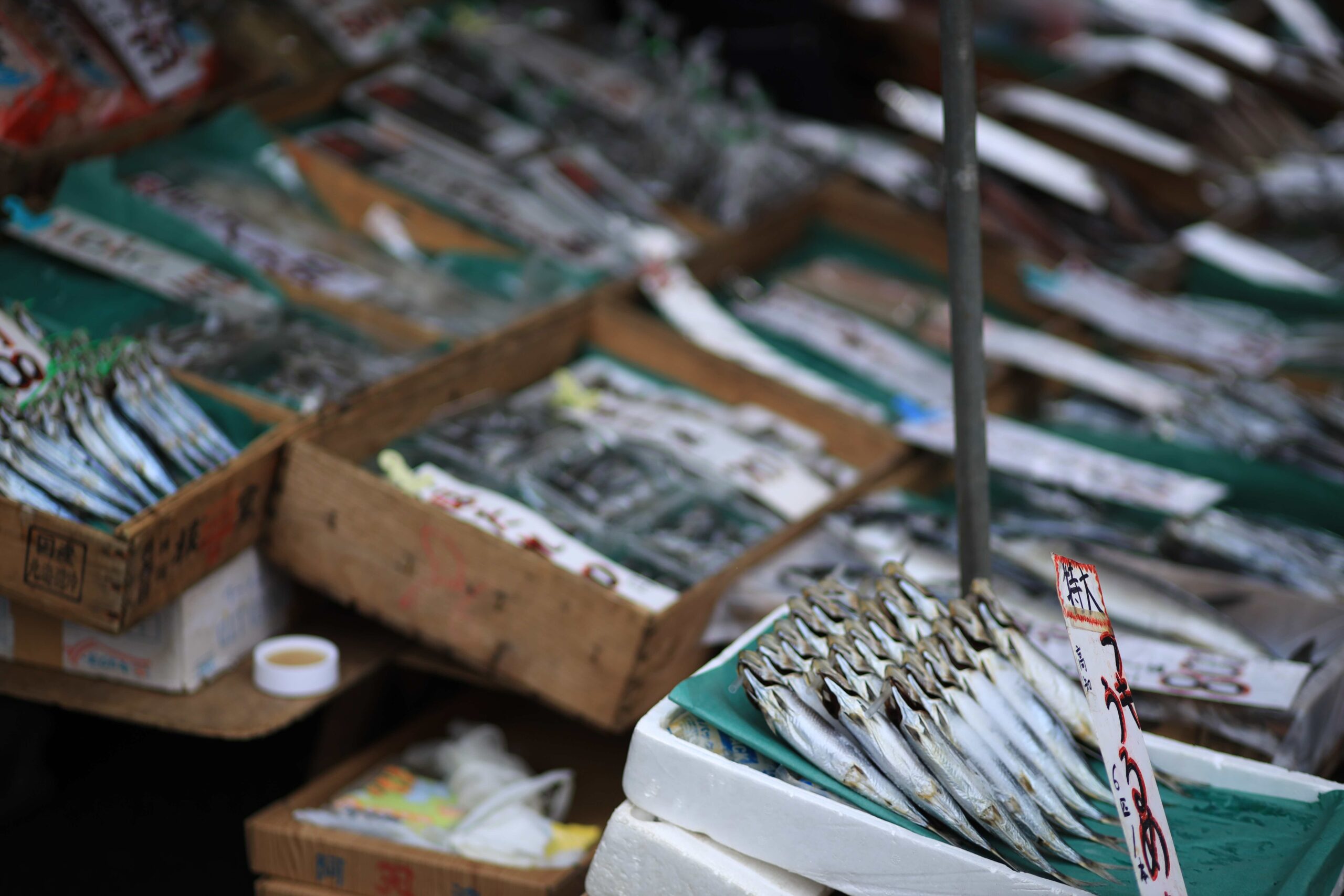 Dried fish himono laid out in cardboard boxes at Kochi Sunday Market