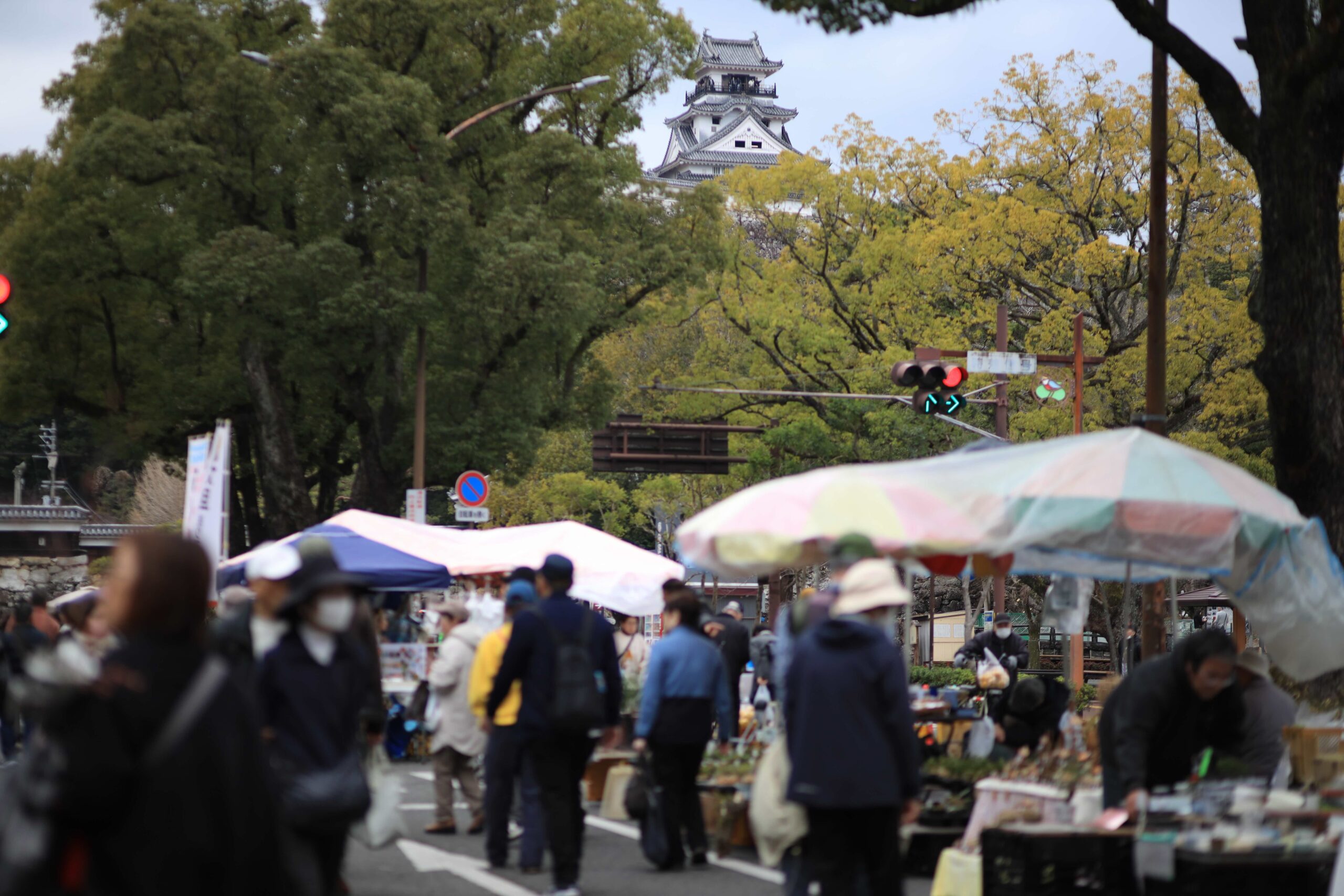 Kochi Sunday Market with Kochi Castle visible in the background