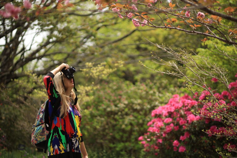 Makino Botanical Garden: Where Japan’s Plant Legacy Blooms