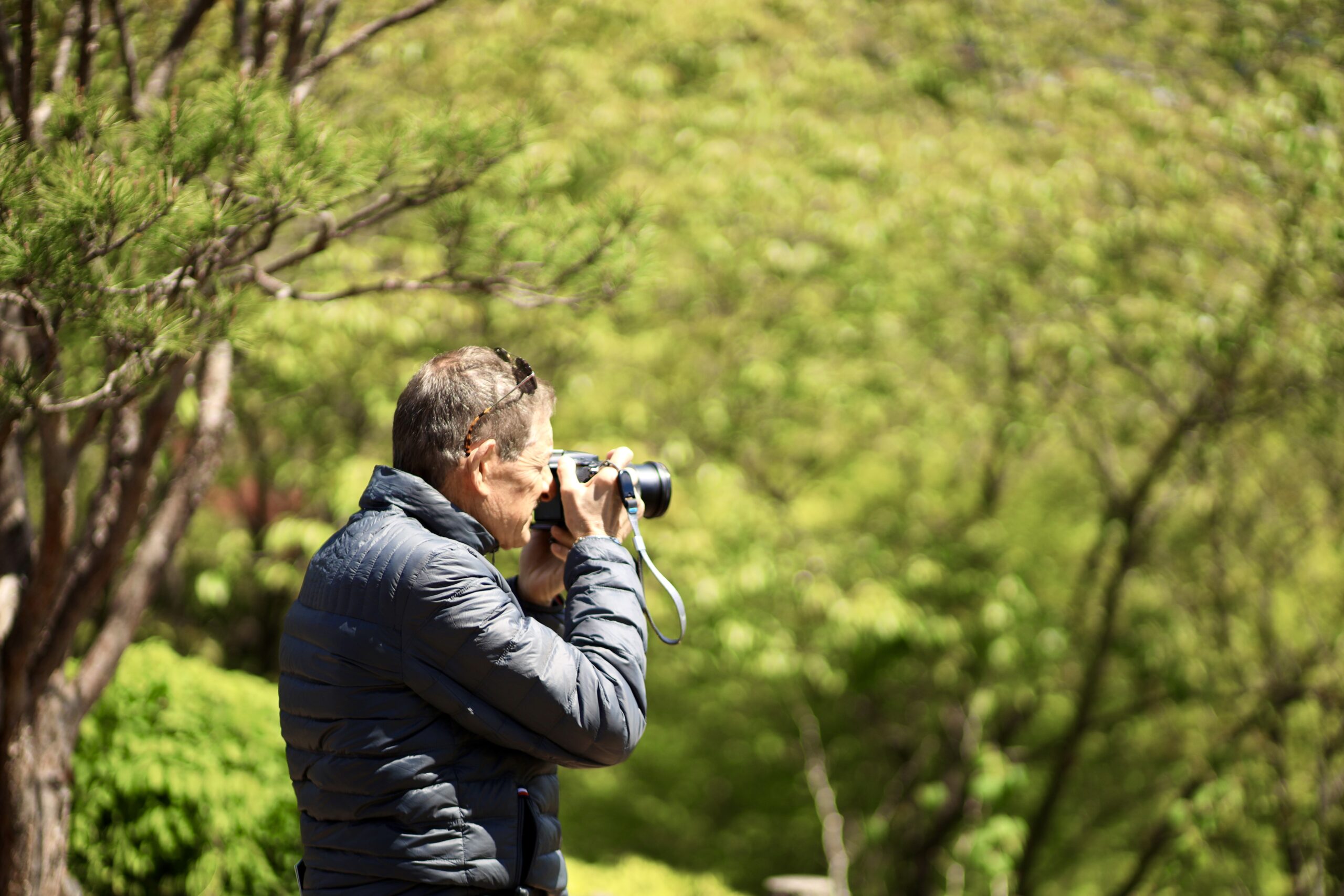 Visitor strolling through colorful spring flower displays