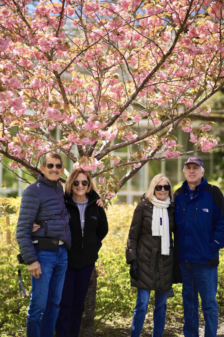 Kochi in Spring: Chikurinji Temple, Makino Botanical Garden, and Katsurahama Beach