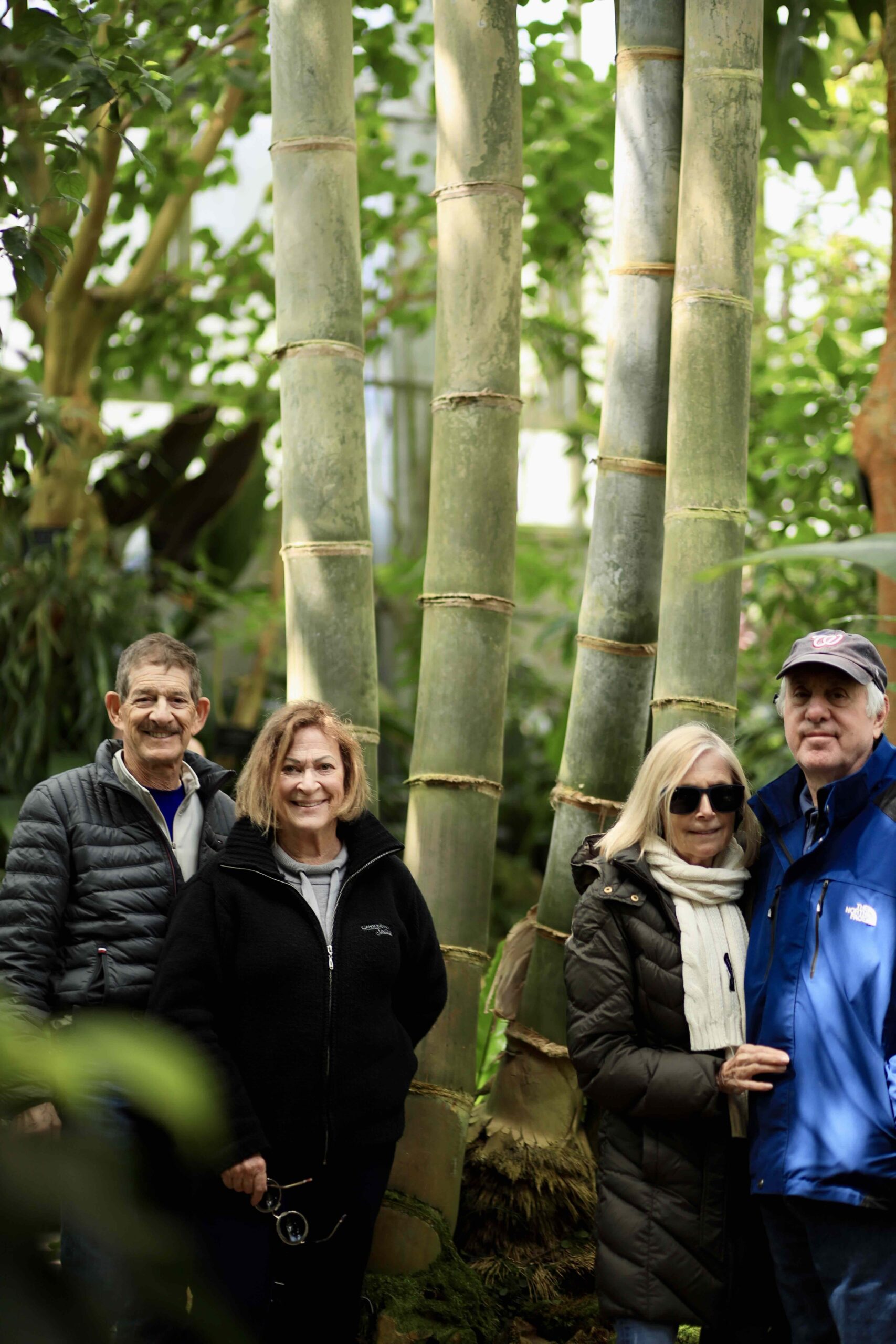 Tour guests on the tree-lined stone approach path at Chikurinji Temple Kochi