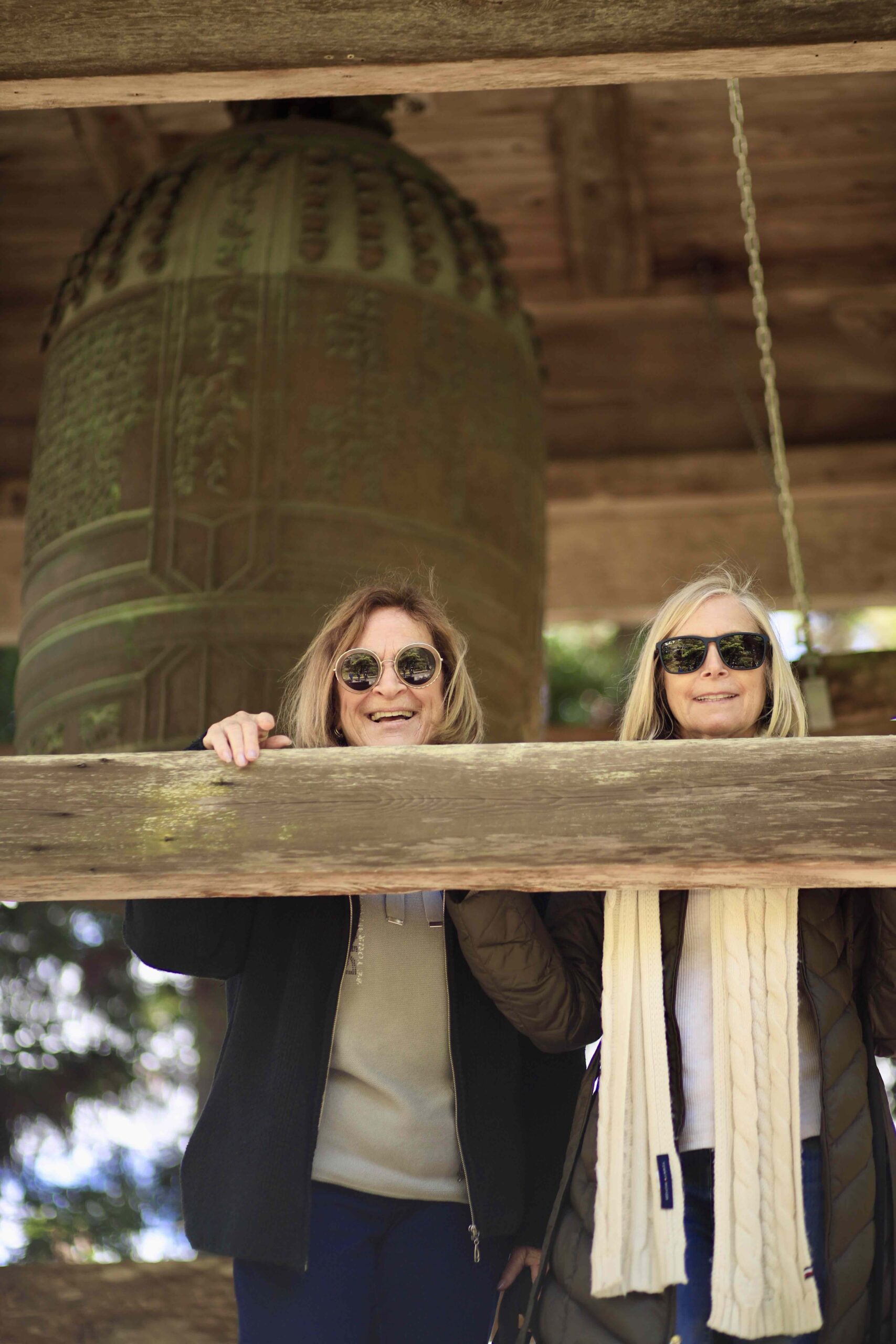 Tour guests at the ancient wooden Niomon gate at Chikurinji Temple