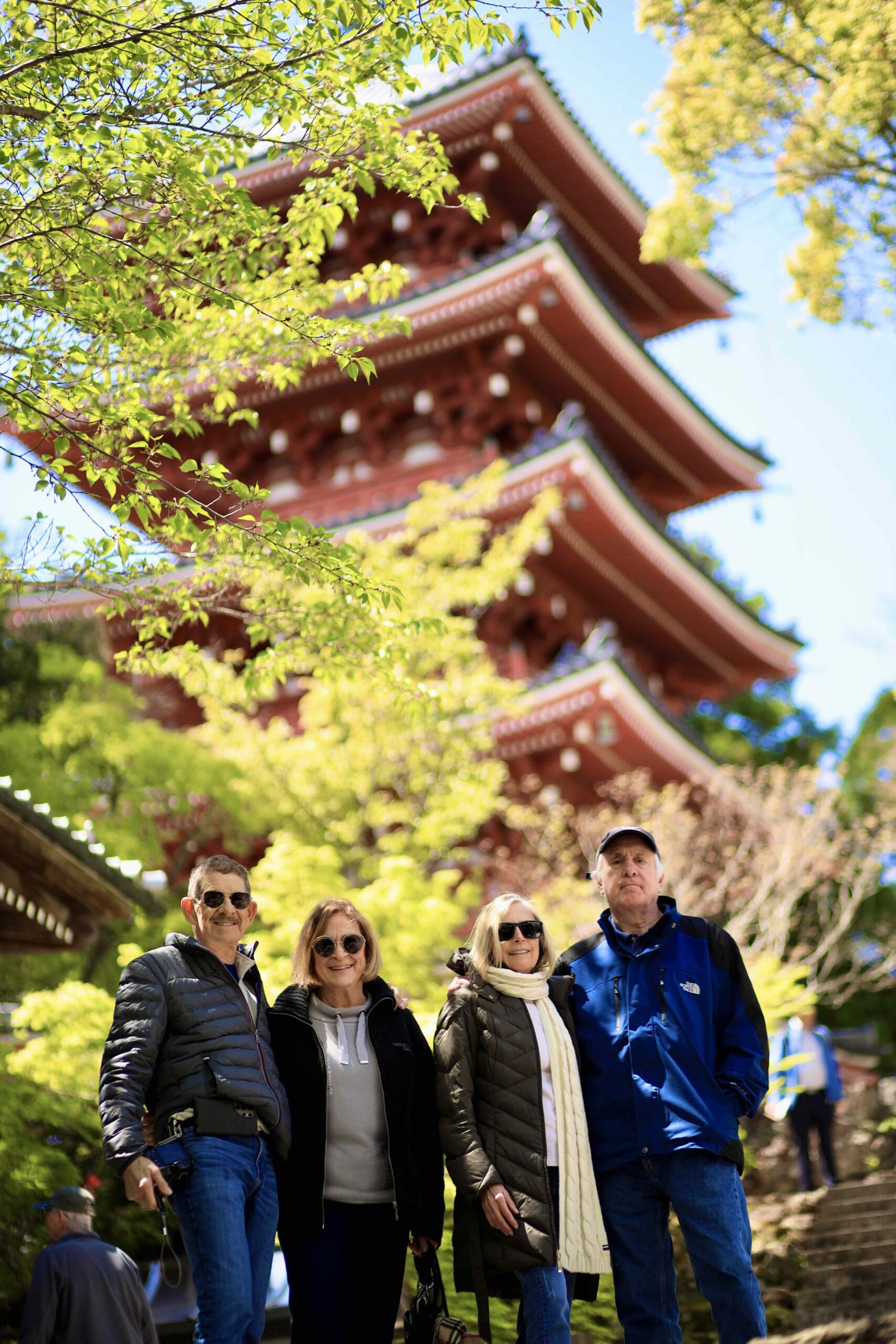 Tour guests under late-blooming yaezakura cherry blossoms at Chikurinji Temple