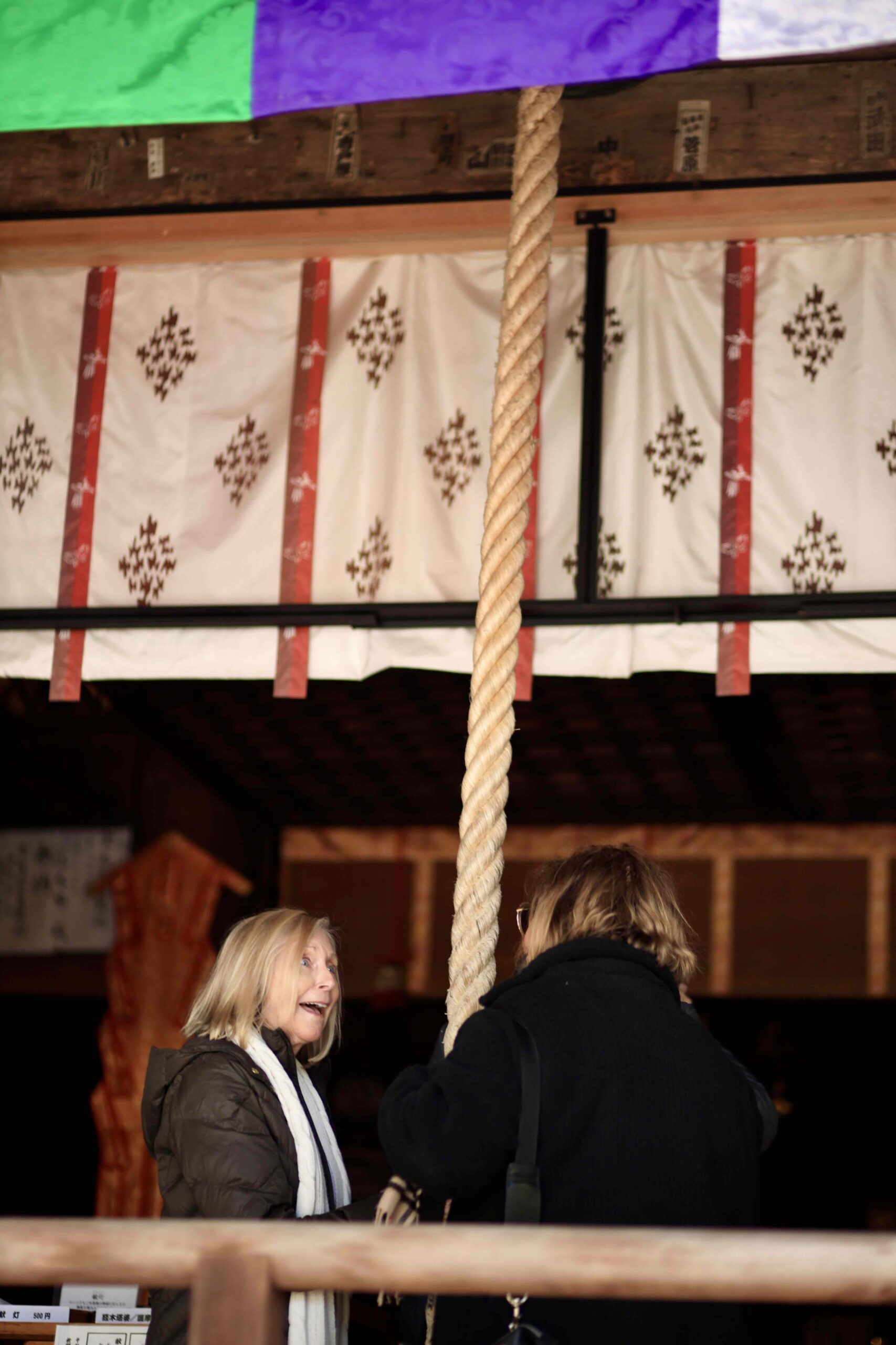 Spring flower garden in full bloom at Makino Botanical Garden Kochi