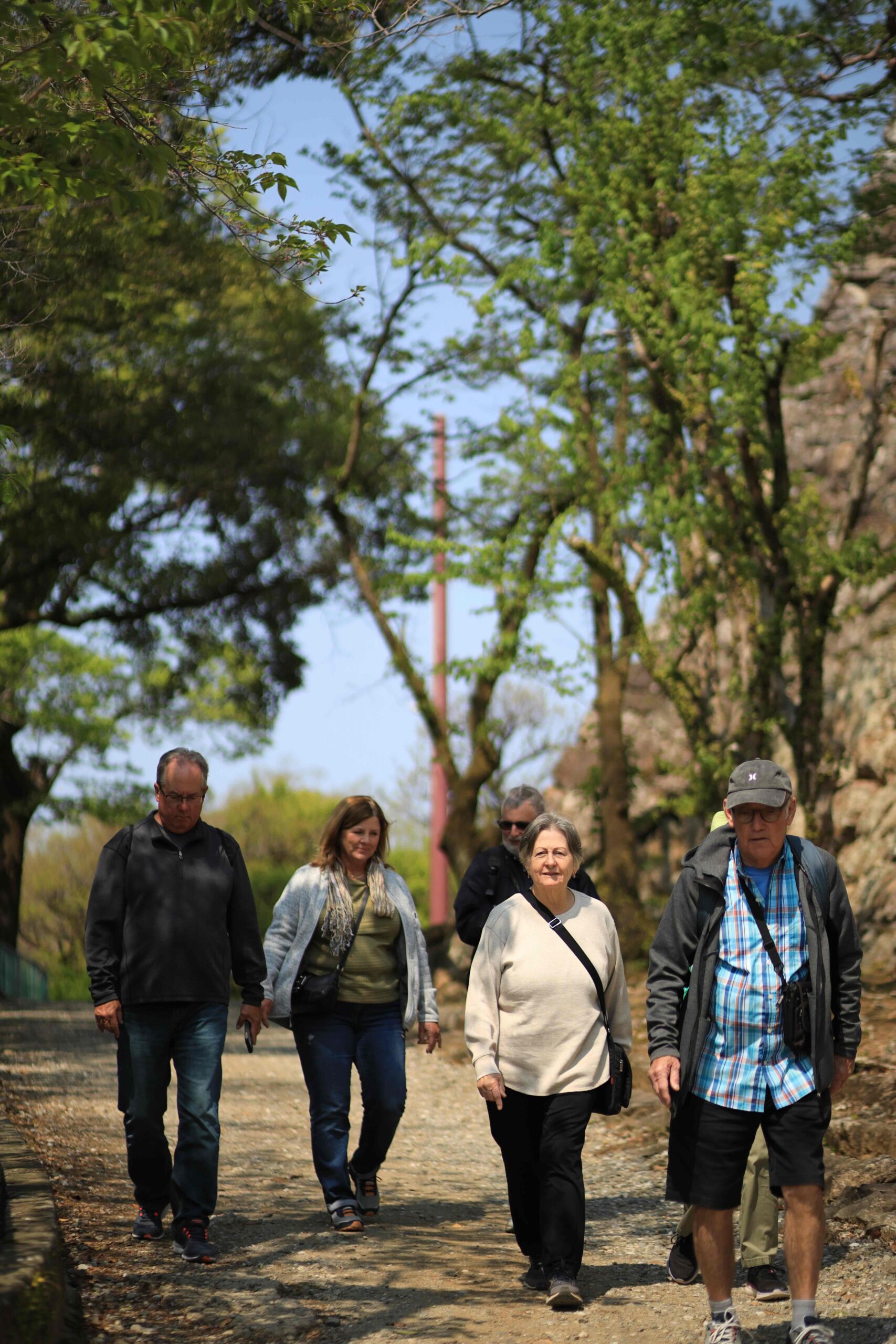 Tour group walking the stone paths at Kochi Castle on a private shore excursion