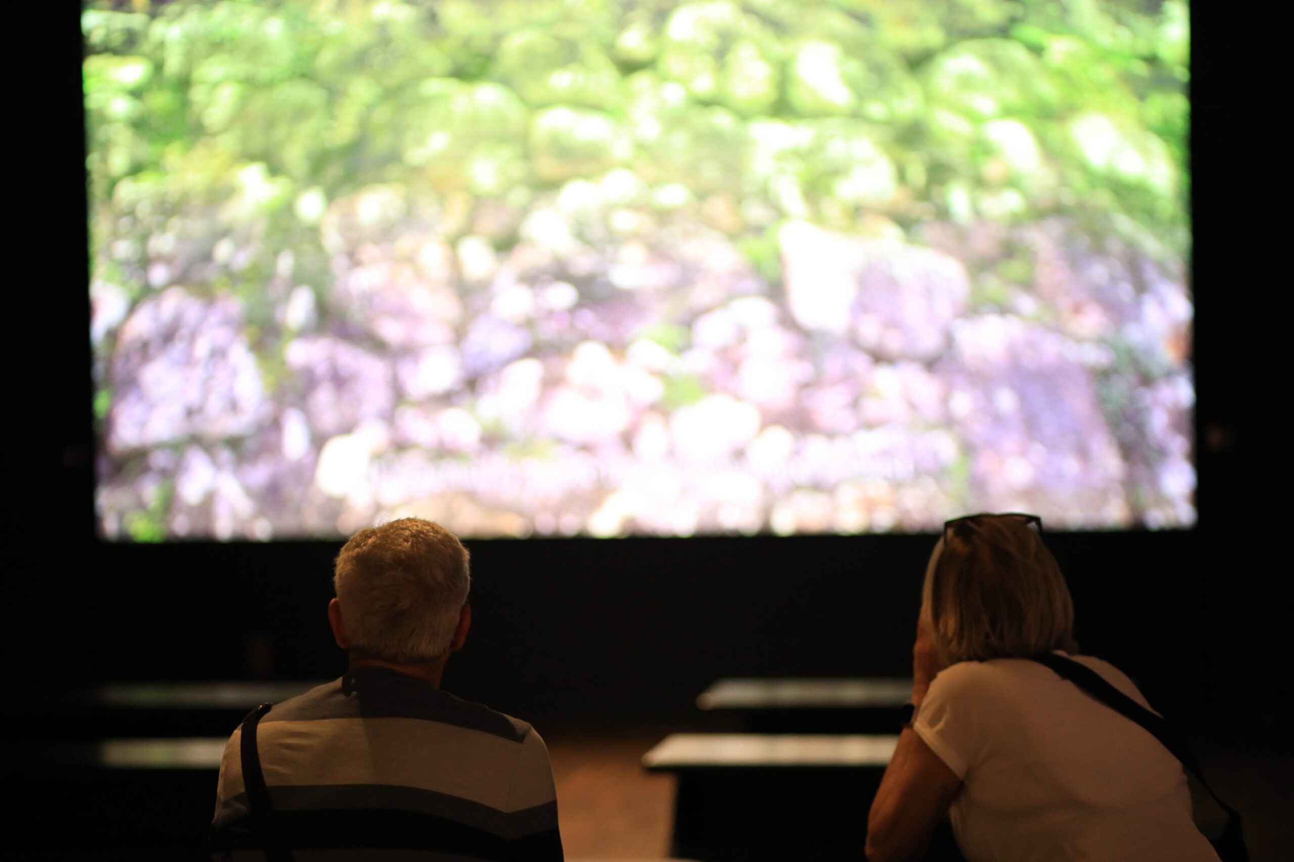 Couple at the top of Kochi Castle keep with panoramic view of the city and mountains