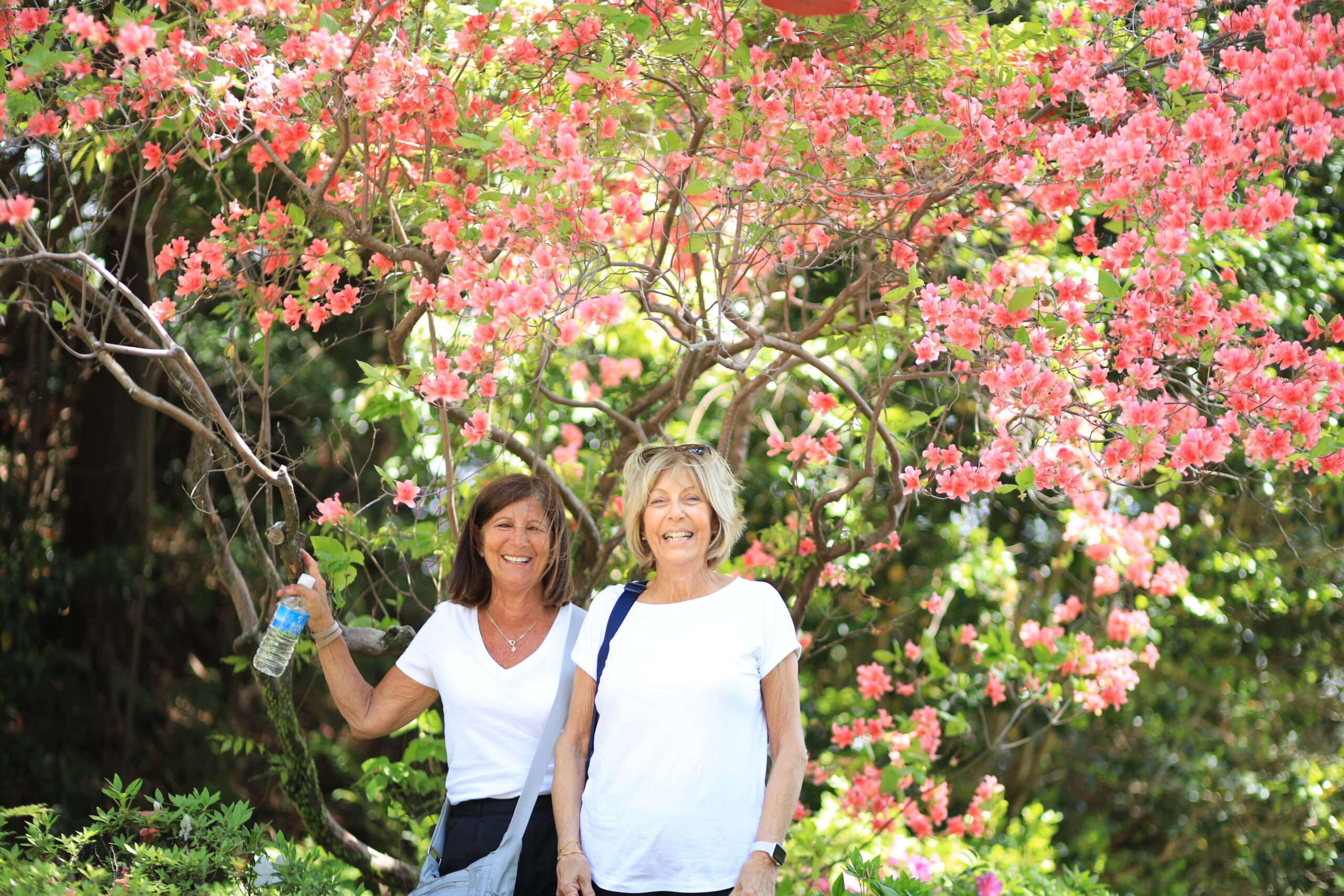 Two women under blooming azalea flowers at Kochi Castle in spring