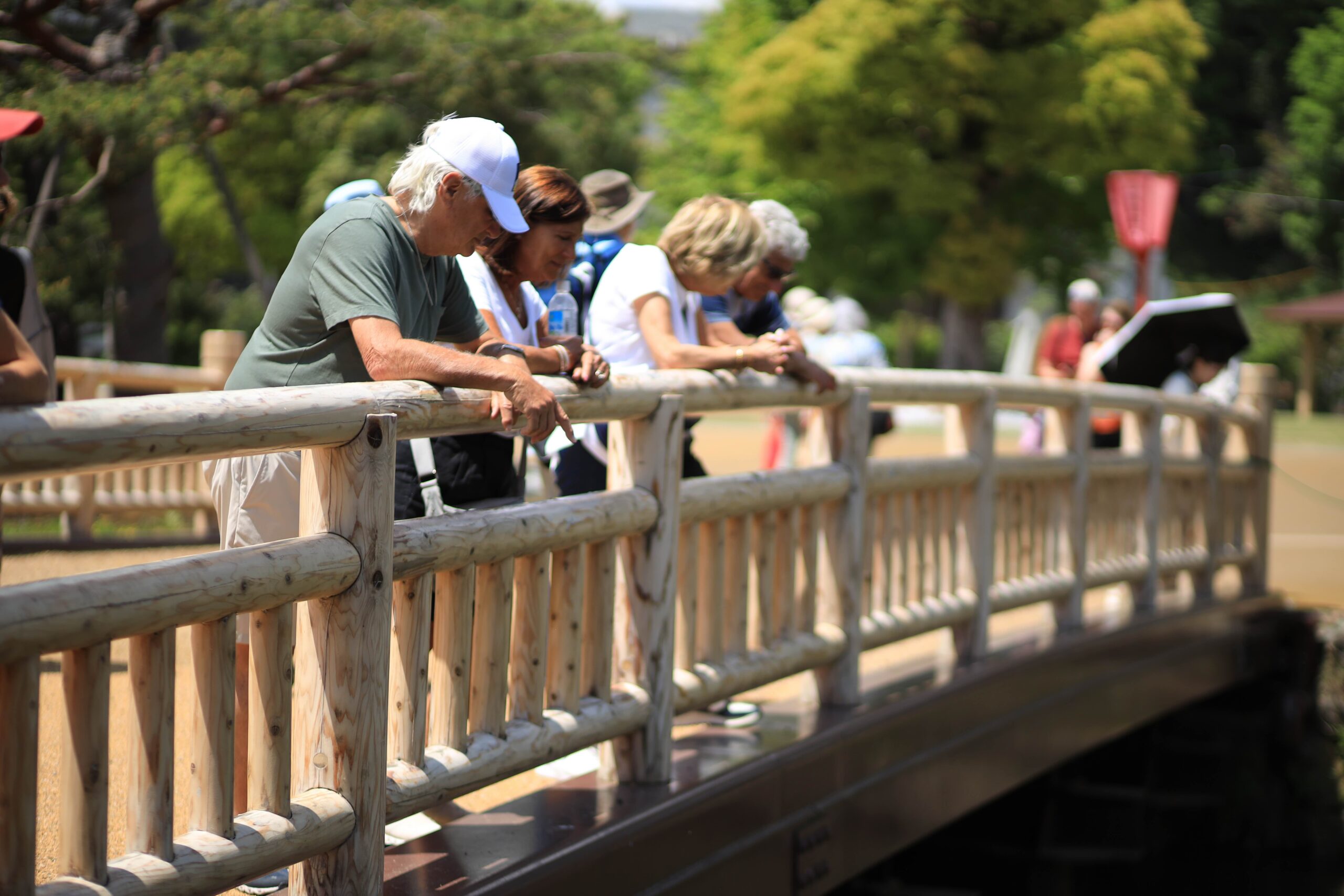 Guests leaning over wooden bridge in the Kochi Castle gardens on a sunny spring day