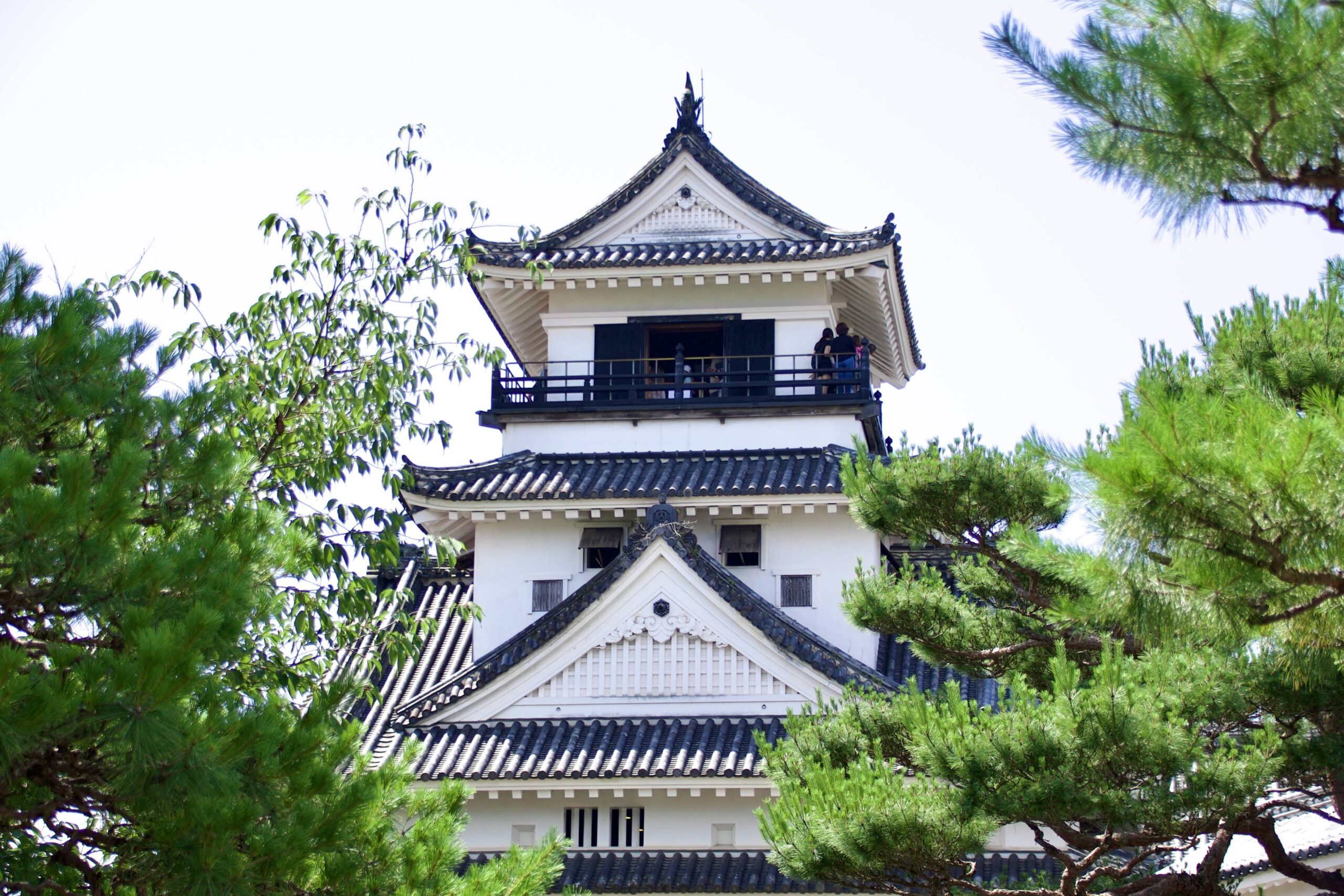 Kochi Castle keep framed by pine trees — the museum is located just beside the main gate below
