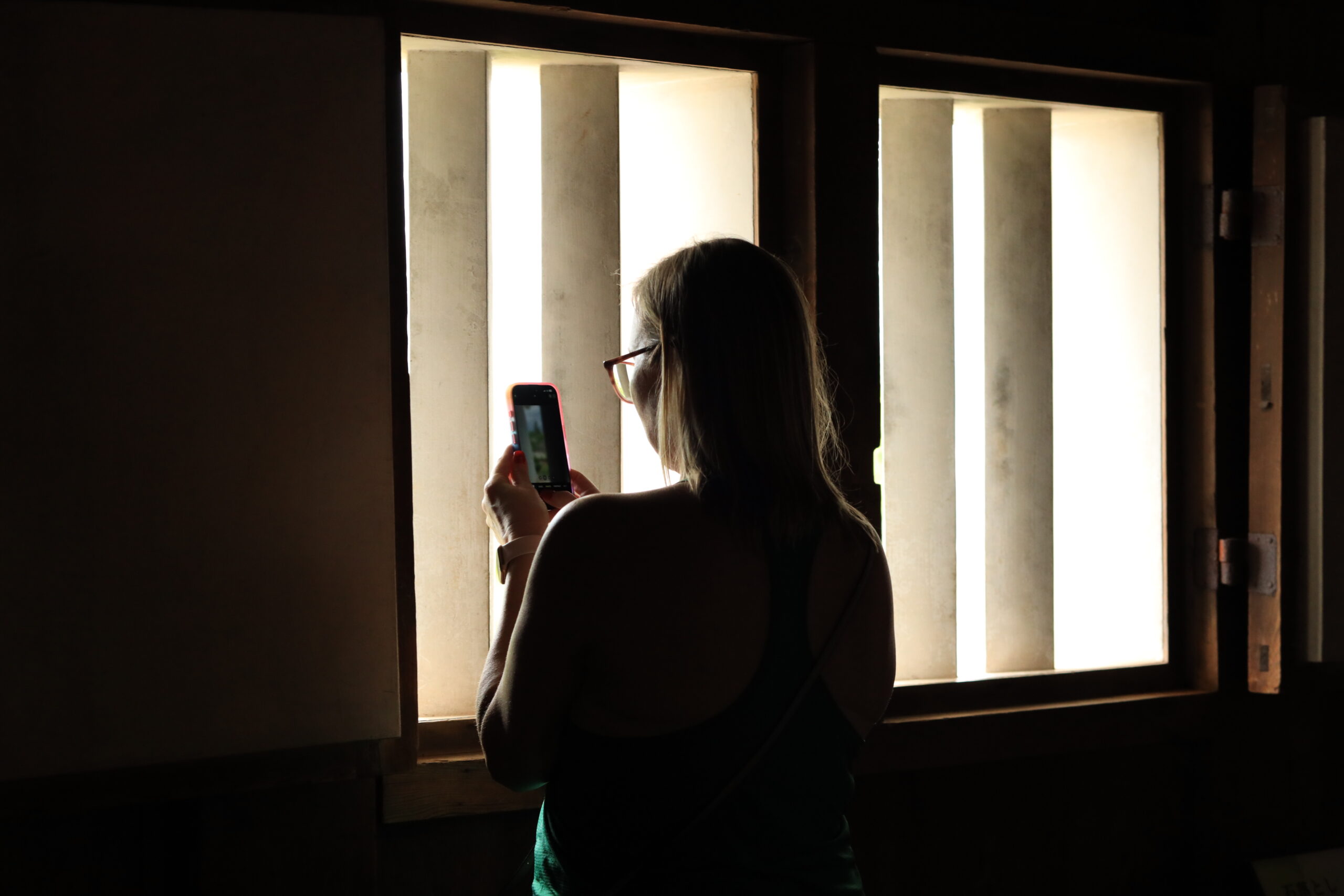 The Japanese flag flying over Kochi city as seen from the top floor of the castle keep