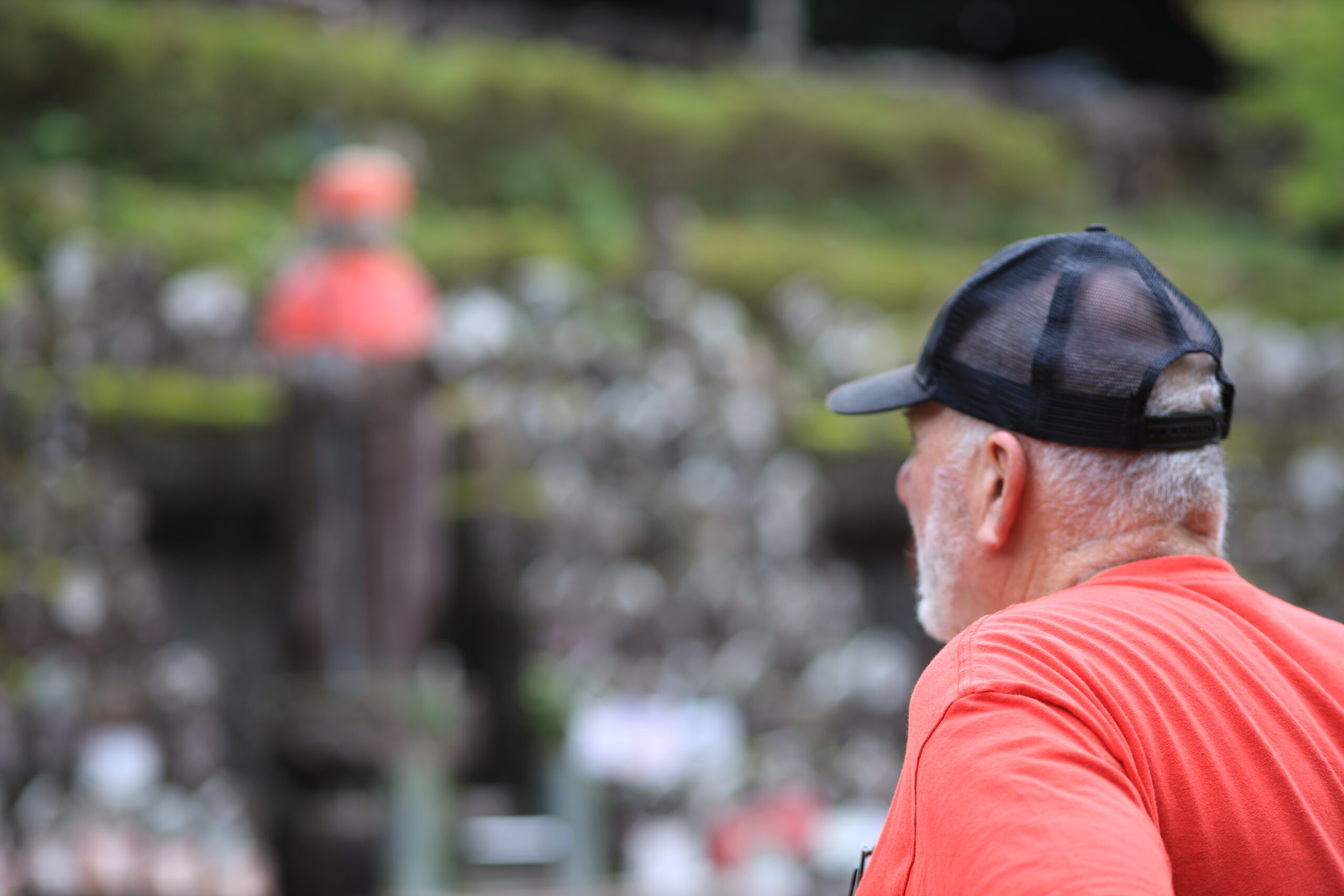 Contemplating temple grounds