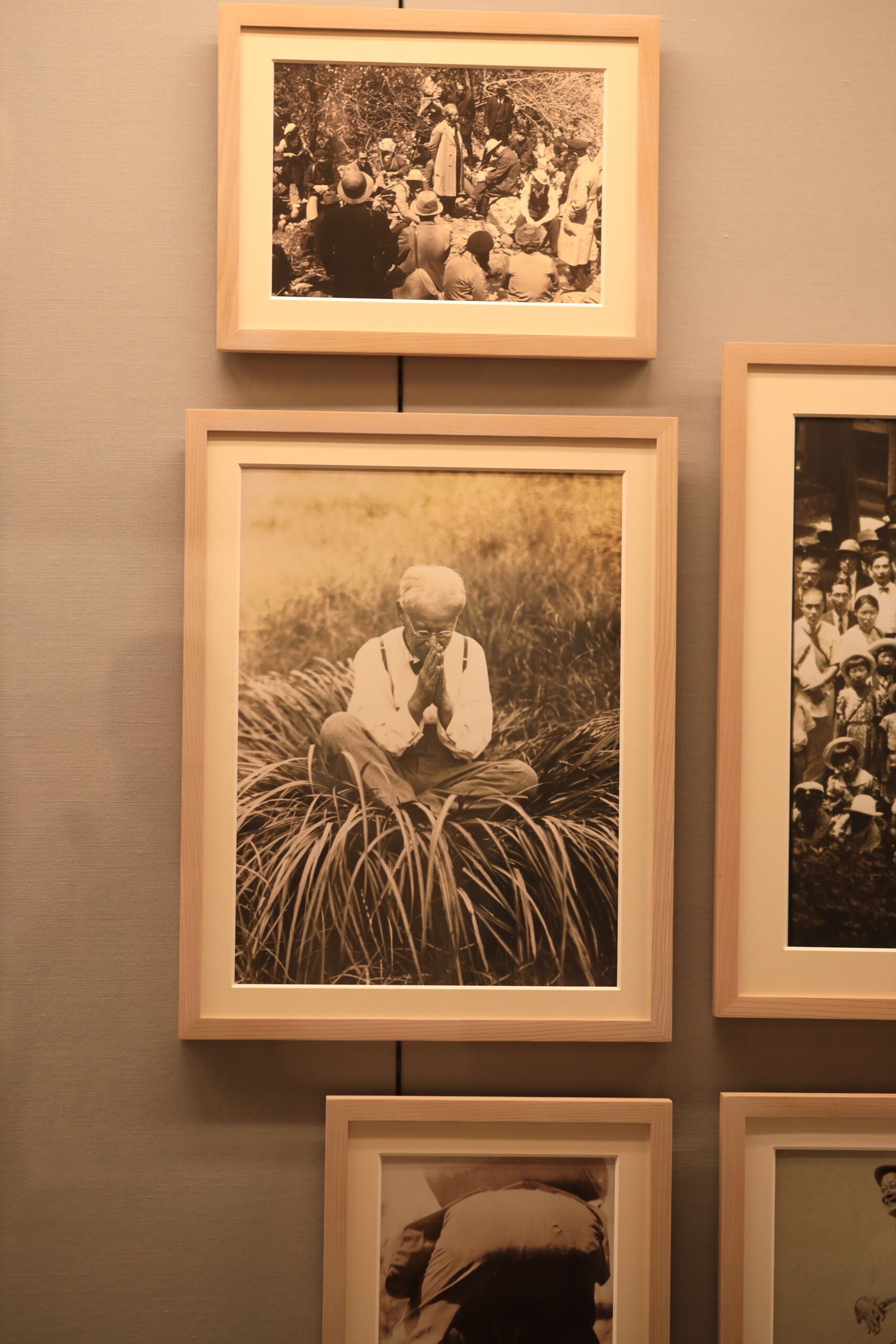 Family group enjoying spring blossoms together