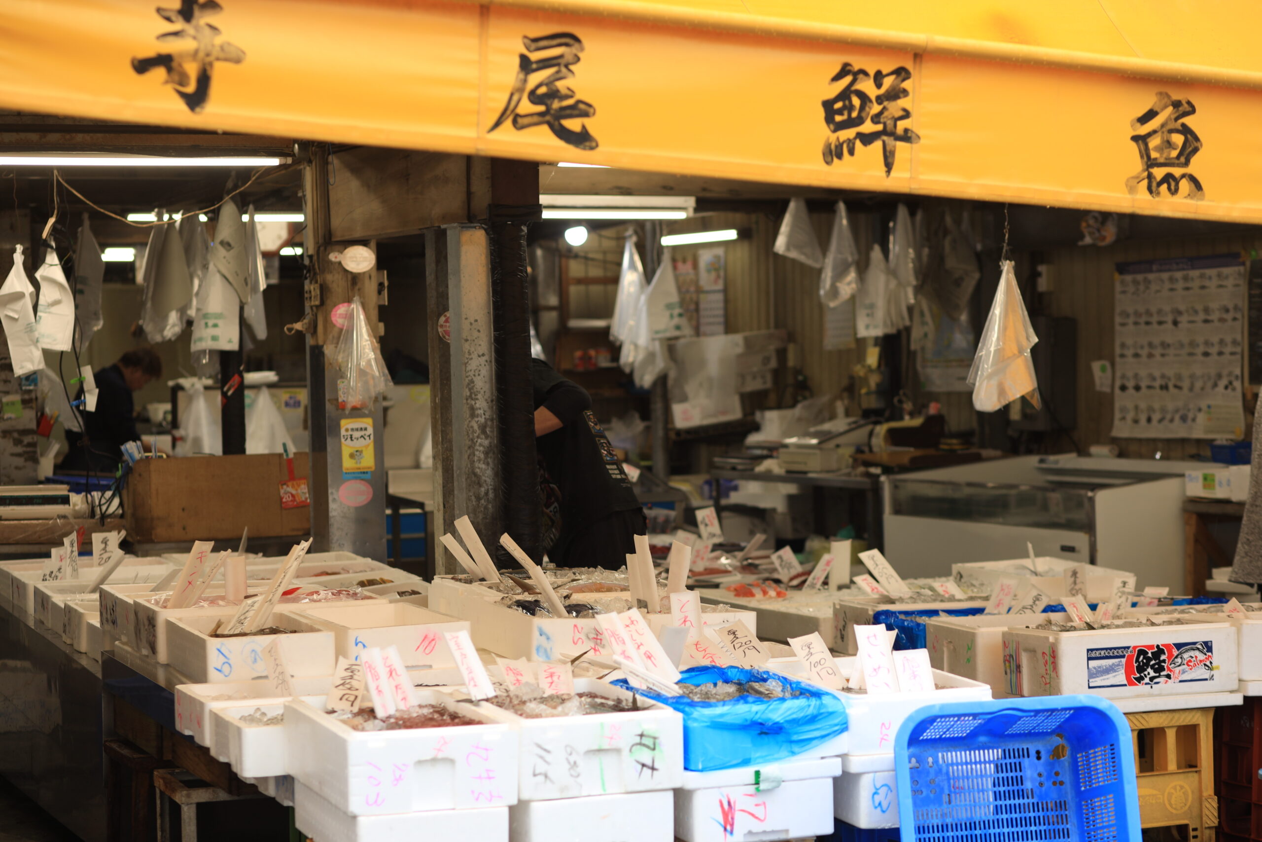 Fresh local fish display