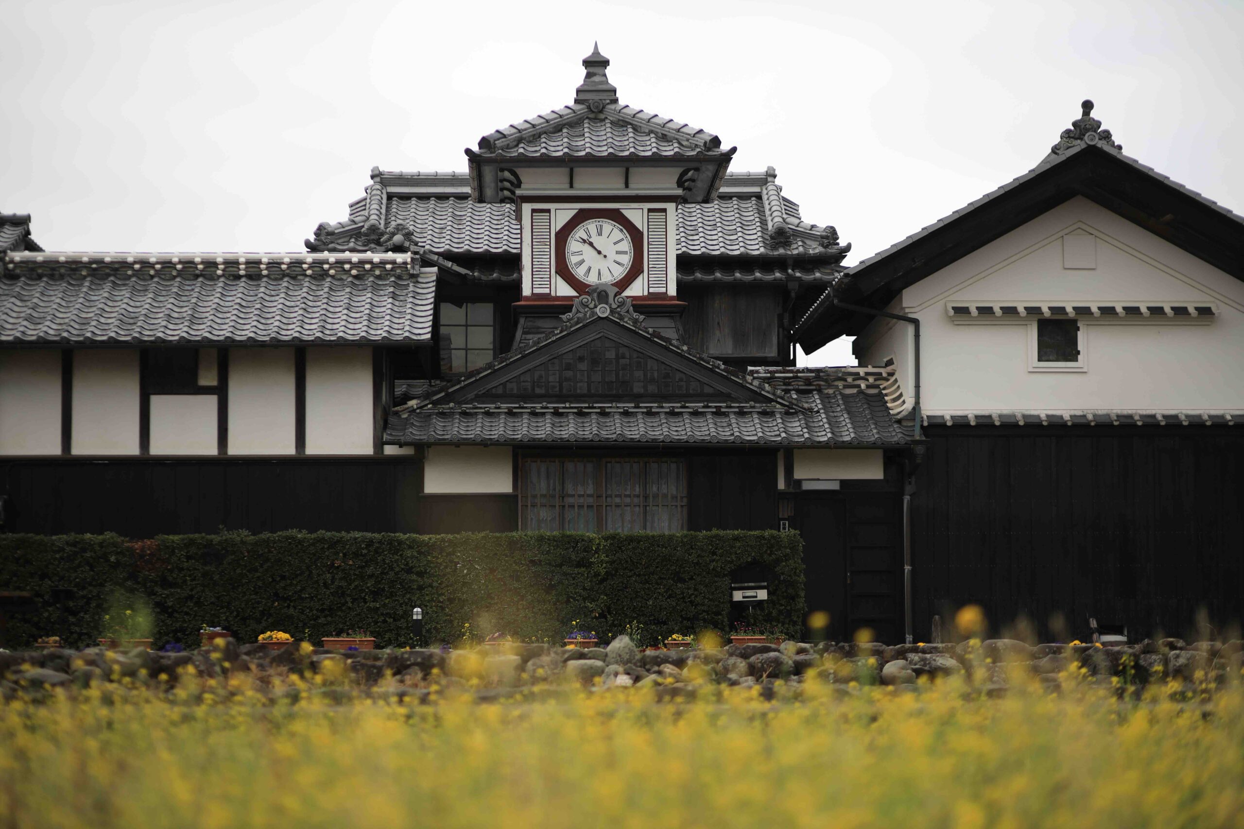 Historic clock tower rising above traditional black-walled buildings and yellow rapeseed flowers in Aki City Kochi
