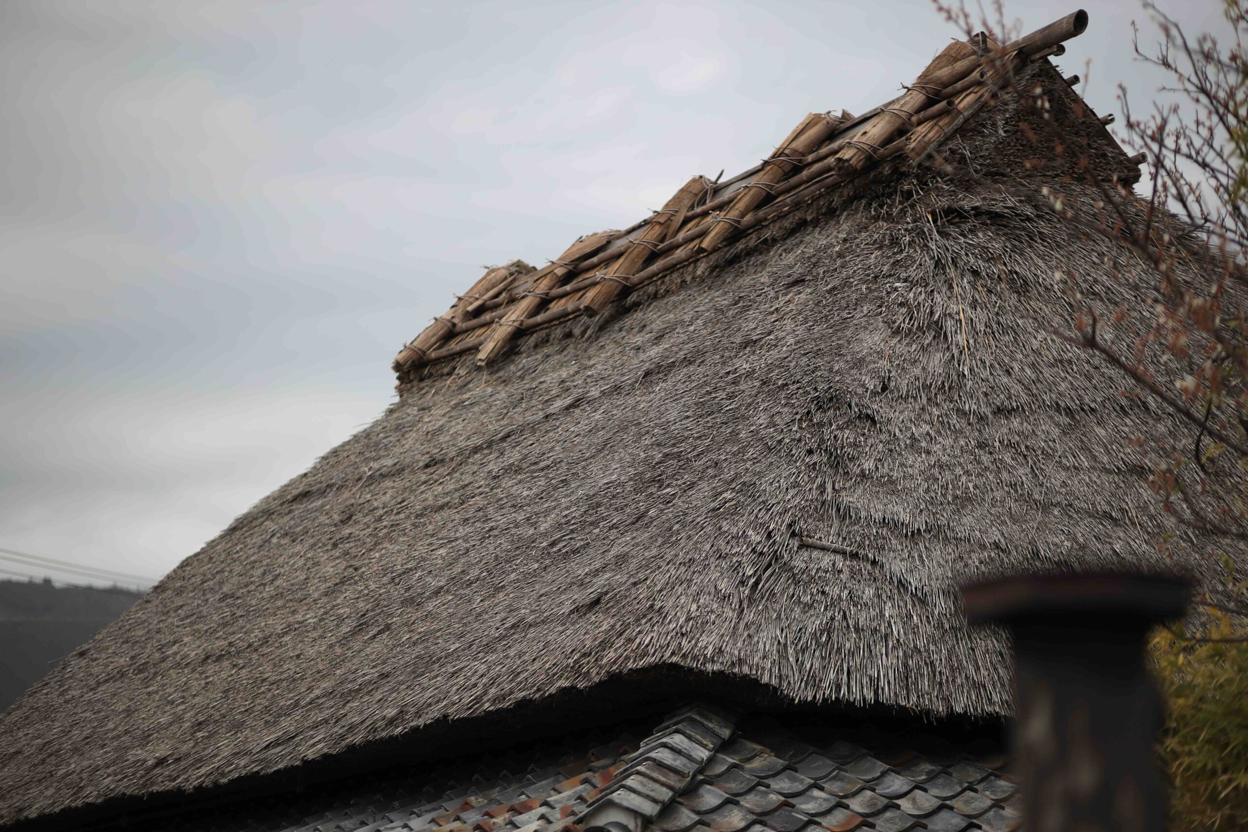 Close-up of a traditional thatched roof on a historic farmhouse near Aki City Kochi
