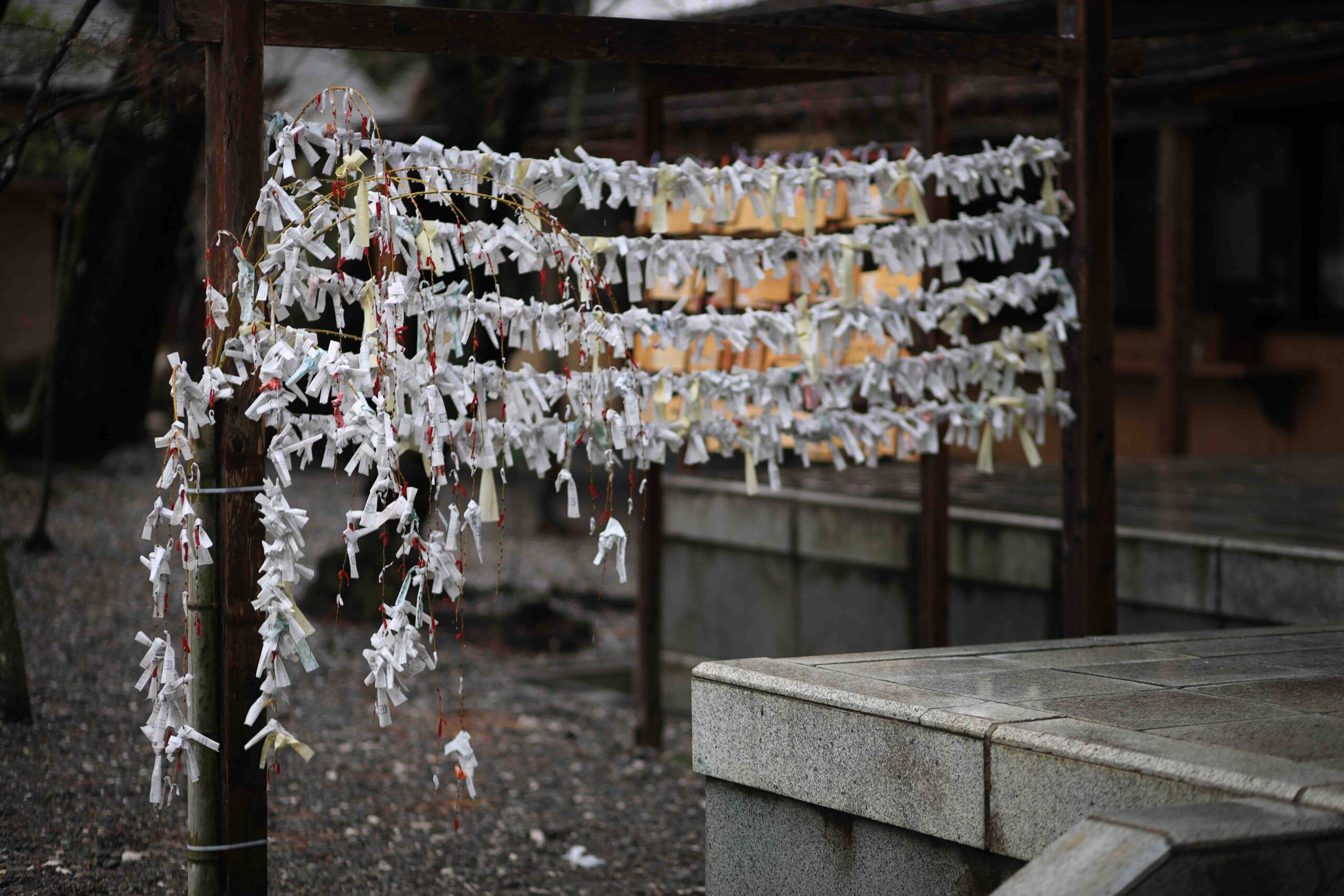 Omikuji paper fortunes and ema wooden plaques hanging at Yamauchi Shrine