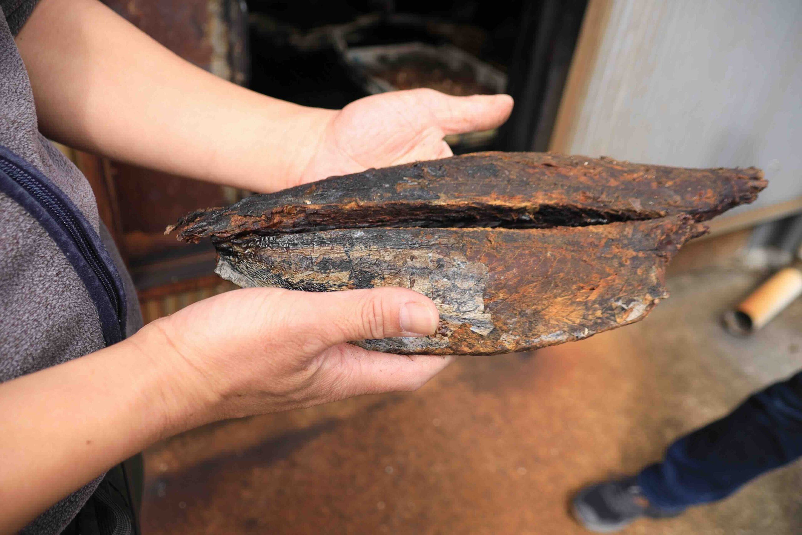 Tosa karebushi — aged dried bonito