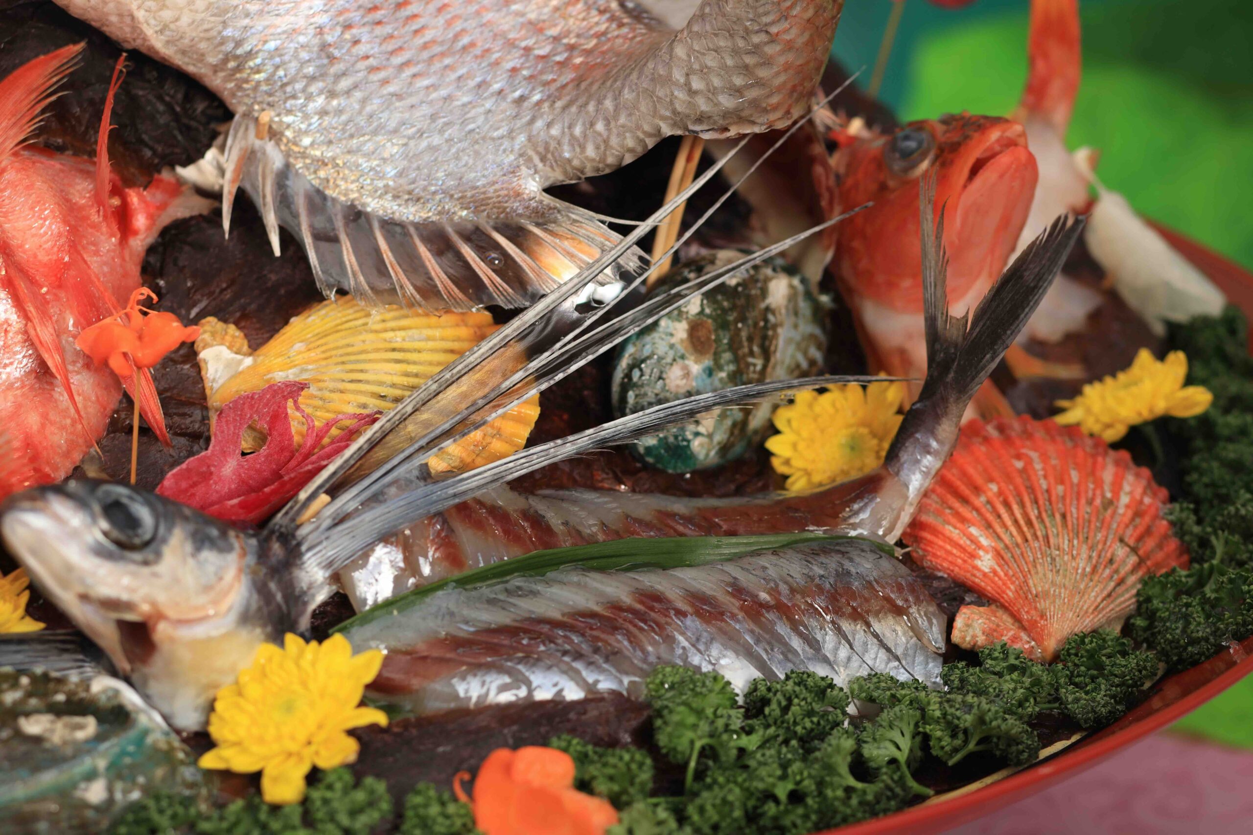 Close-up of a sawachi platter with fresh whole fish, scallops, and seasonal seafood