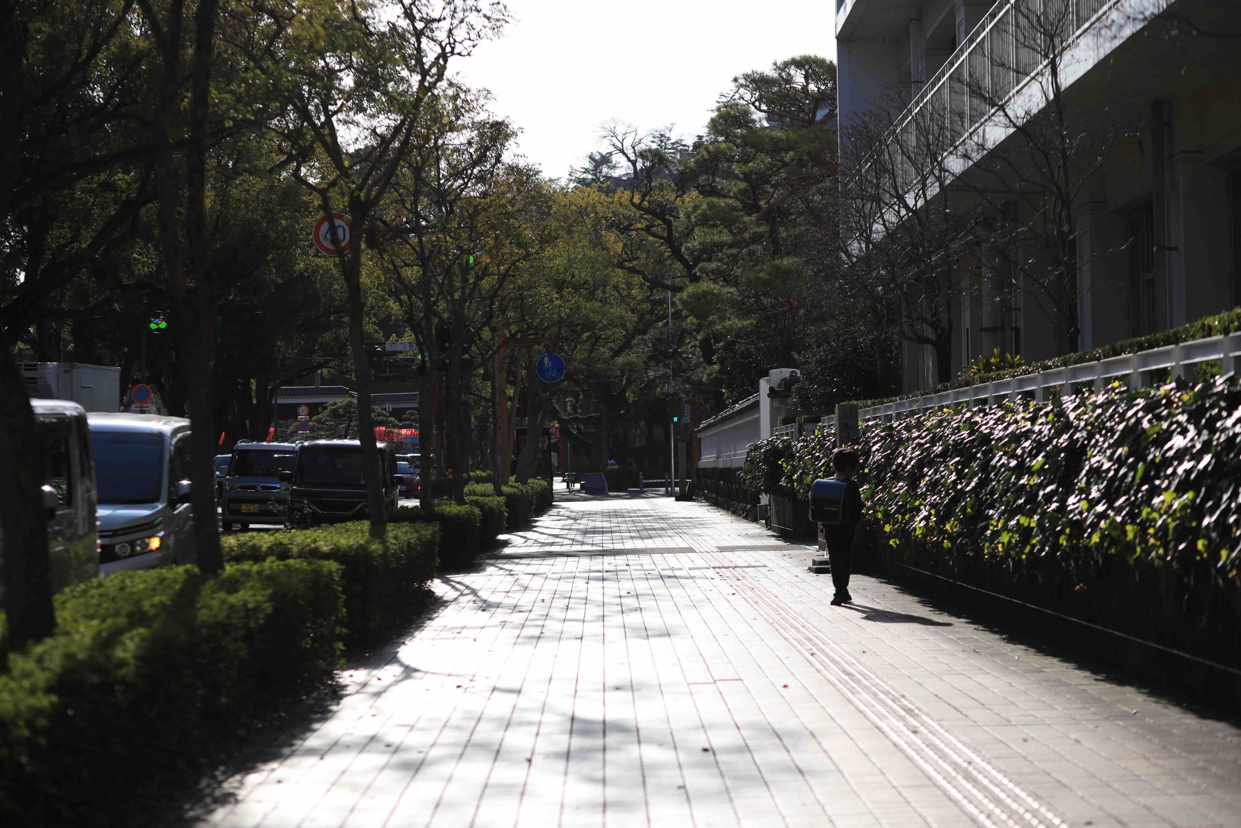 Tree-lined street near Kochi Castle during Tosa no Okyaku spring festival