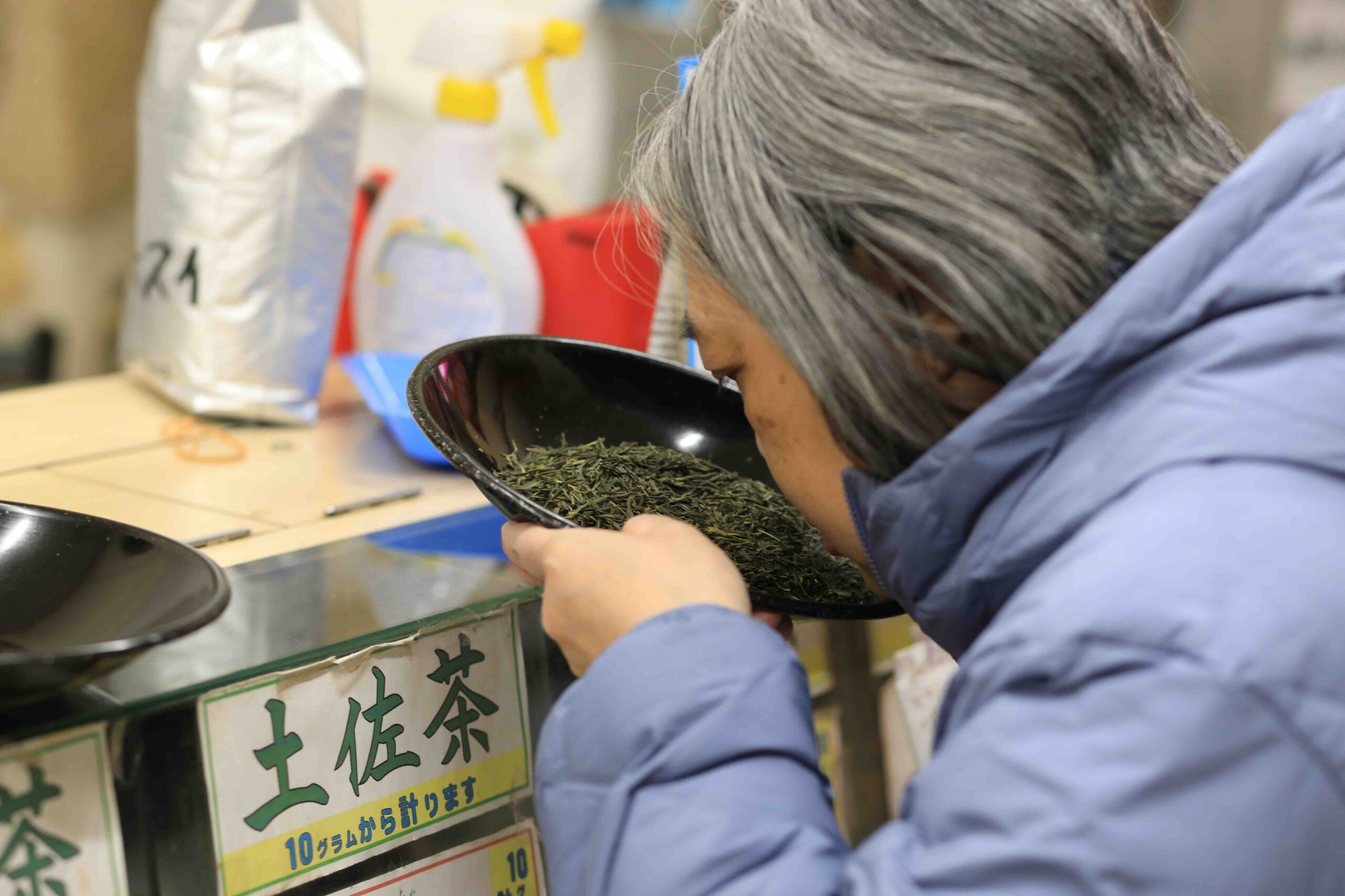 Guest smelling Tosa tea leaves at Morimoki Suiko-en in Kochi