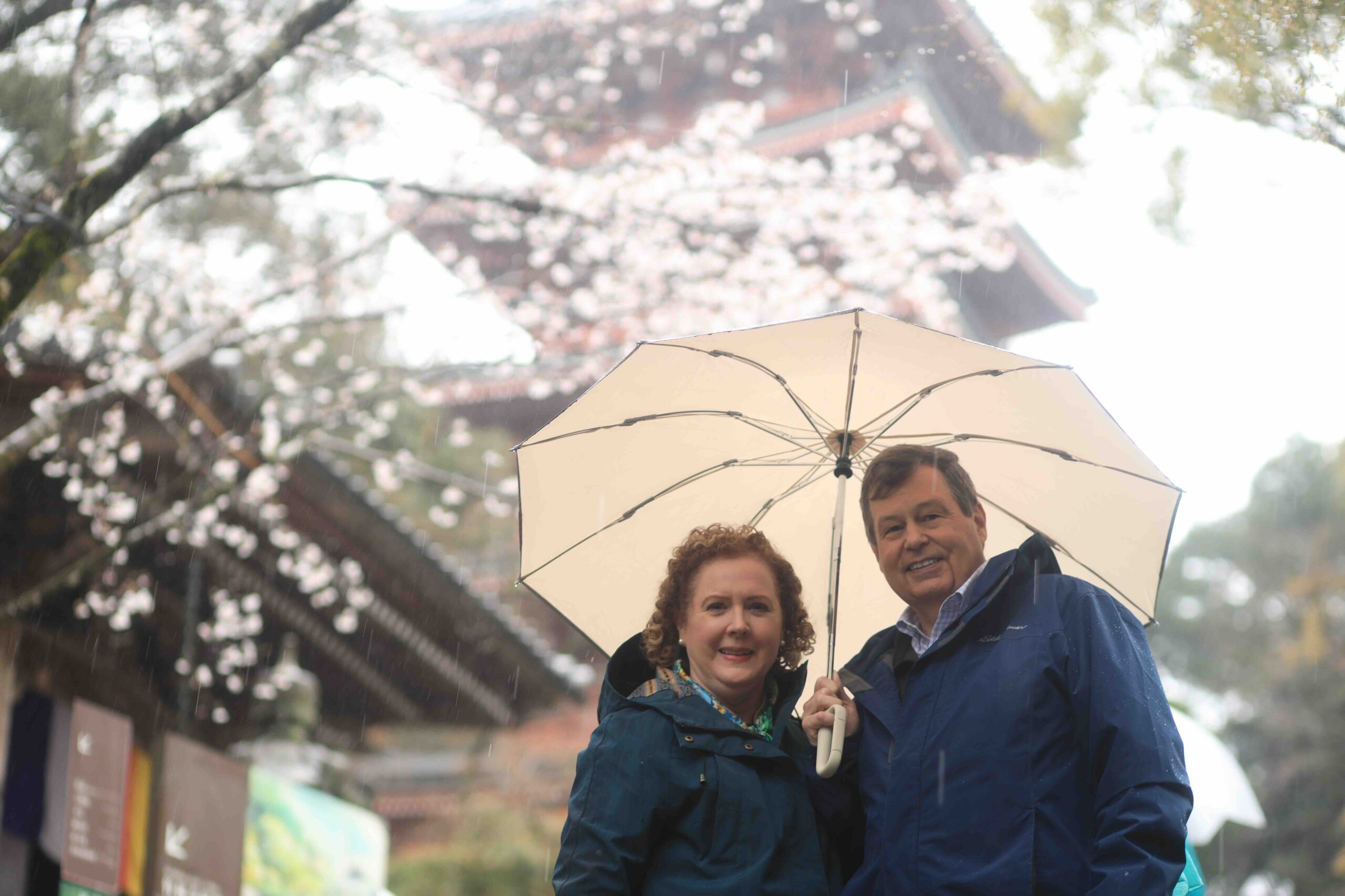 Couple with umbrellas at Chikurinji Temple with five-story pagoda and cherry blossoms in Kochi