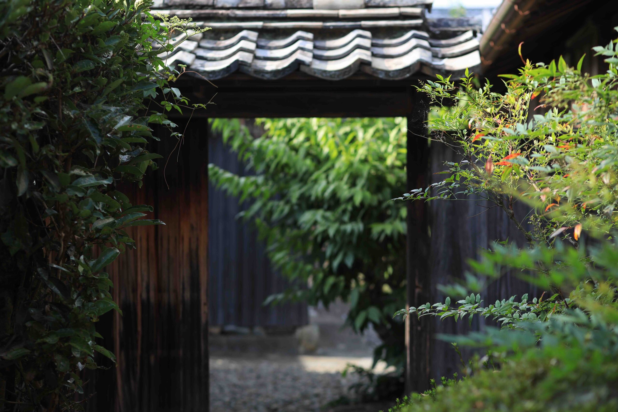 Ancient wooden gate covered in green vines leading to a samurai residence in Doi Kachuu Aki City