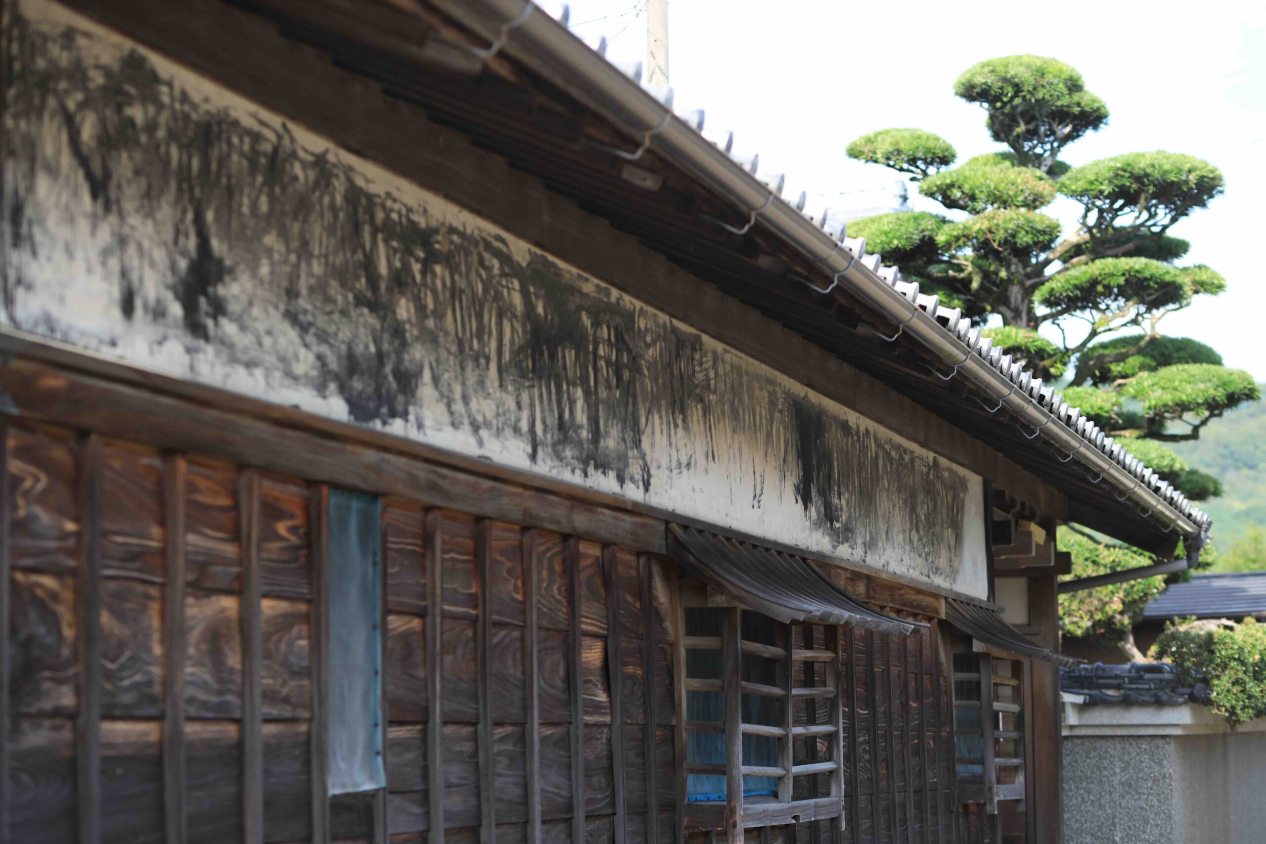 Old samurai residence with soot-stained white walls and traditionally pruned pine tree in Aki City Kochi