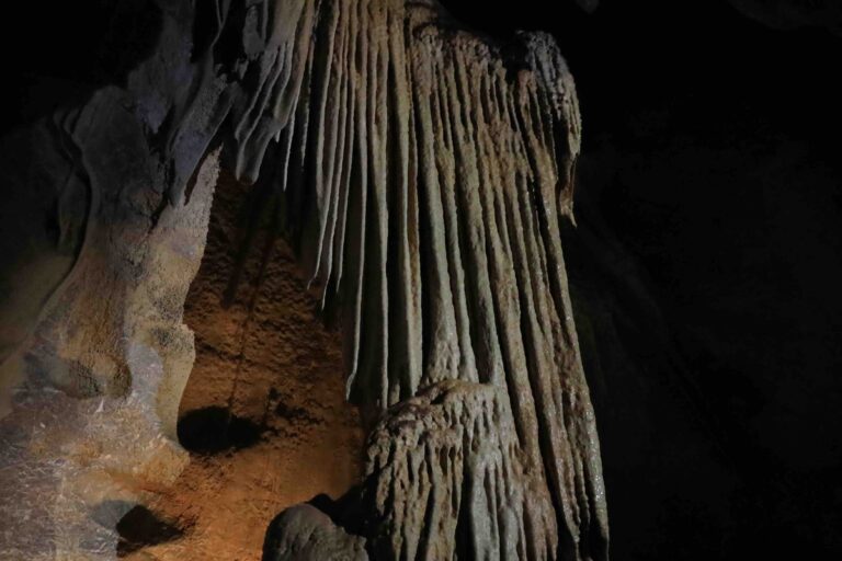 Ryugado Cave: Kochi’s Underground Wonder with an Adventure Tour Option