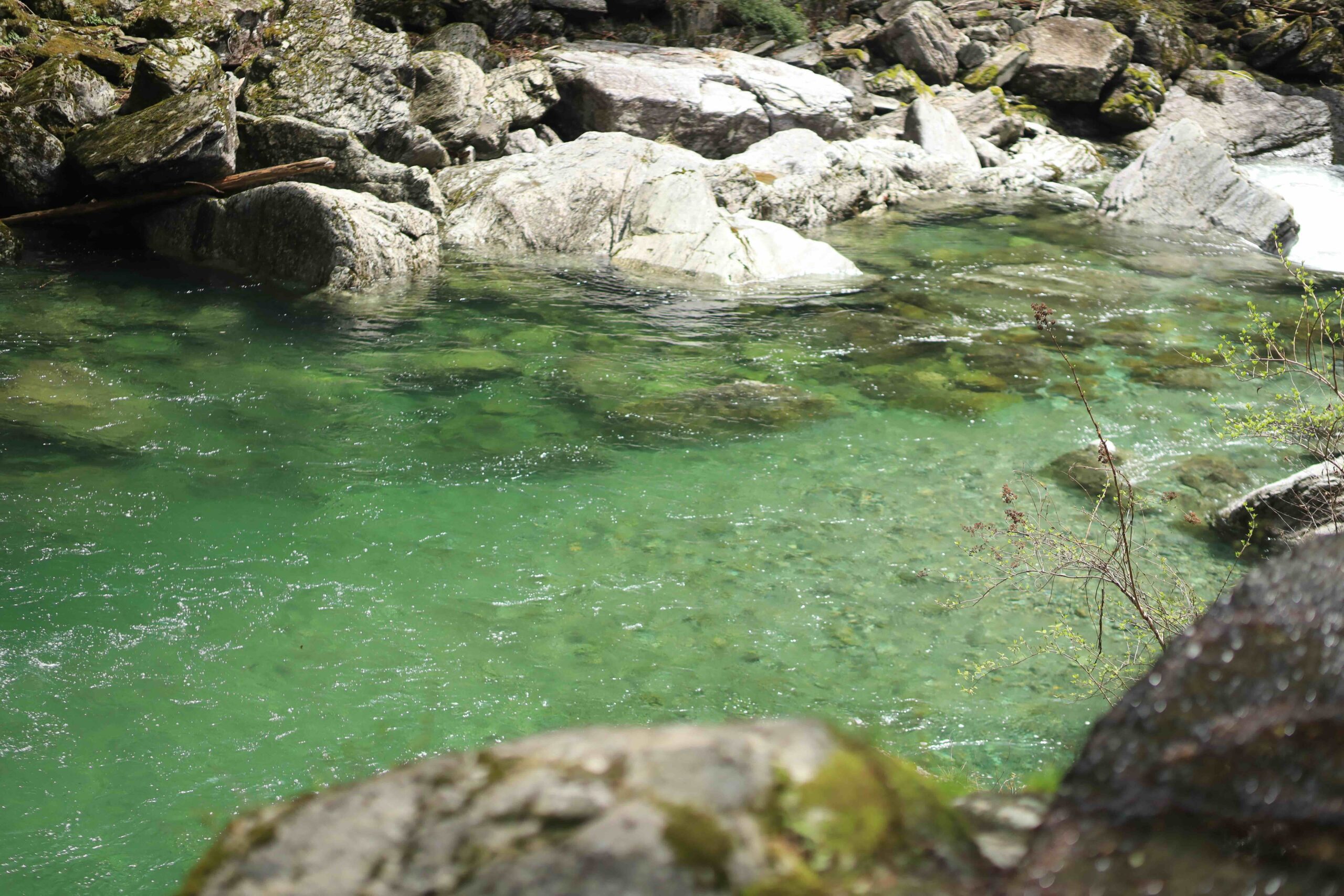 Crystal clear emerald green water of the Niyodo River in Yasui Valley, Kochi