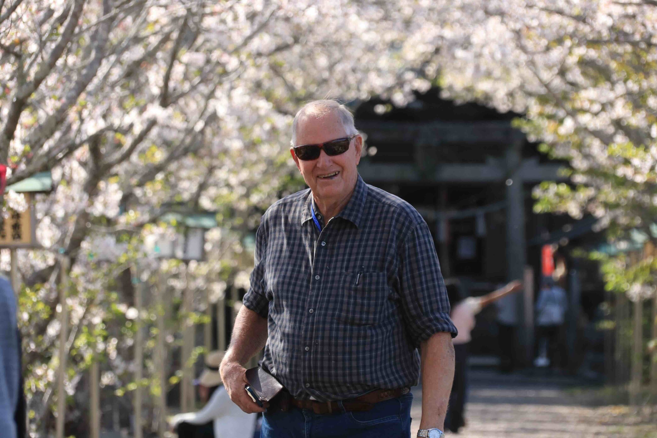 A visitor smiling among cherry blossom trees at a shrine in Usa, Tosa City, Kochi