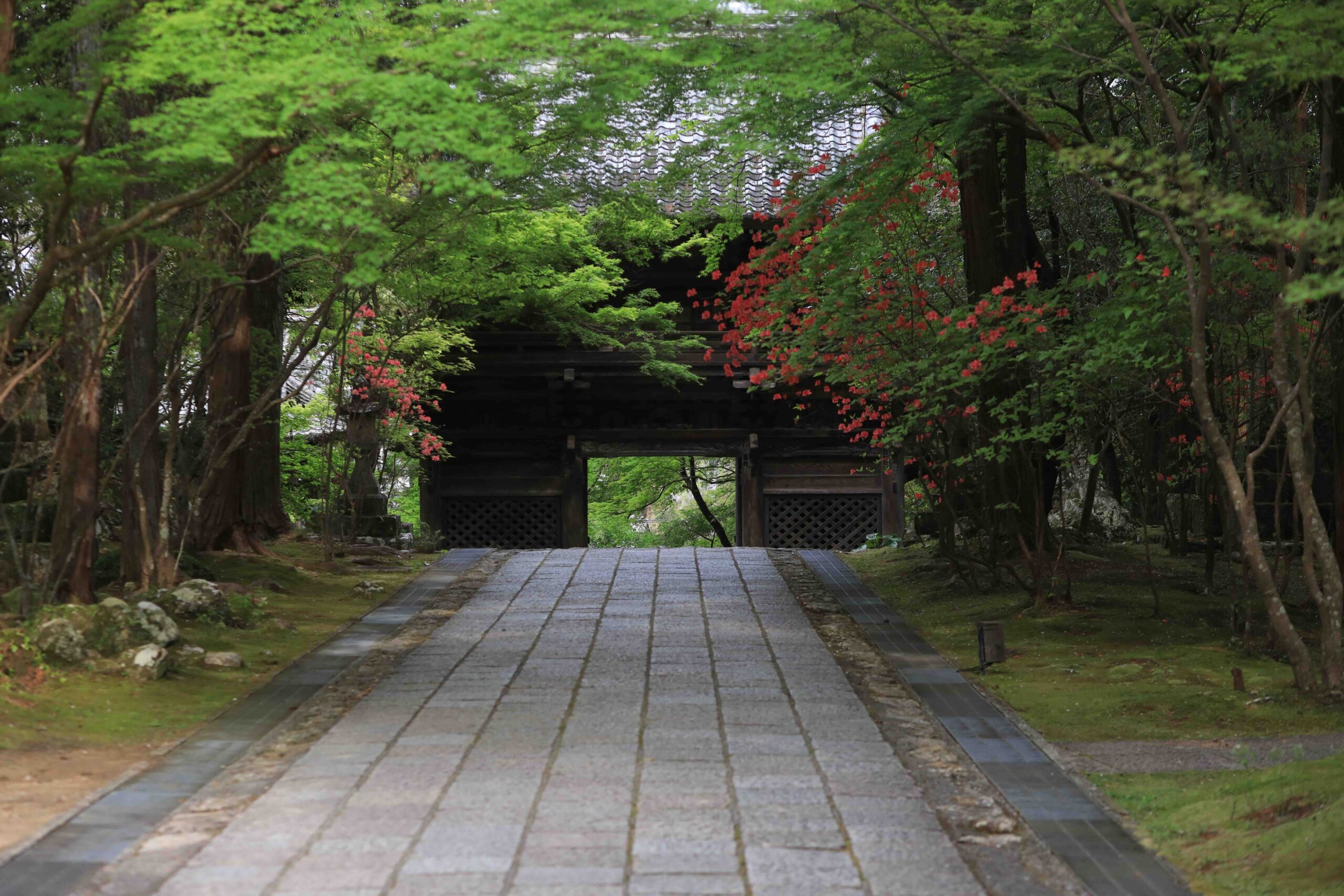 Five-story pagoda at Chikurinji Temple in autumn surrounded by red and orange maple leaves
