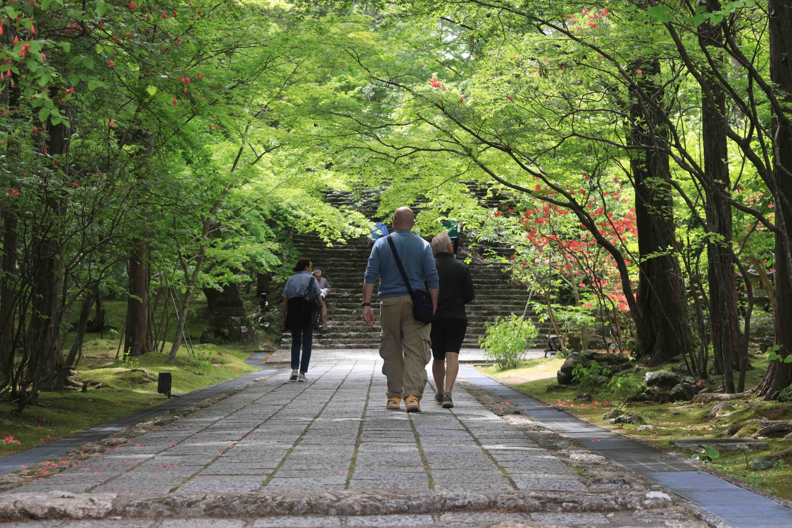 Guests walking up the stone path through the green maple tree tunnel at Chikurinji Temple