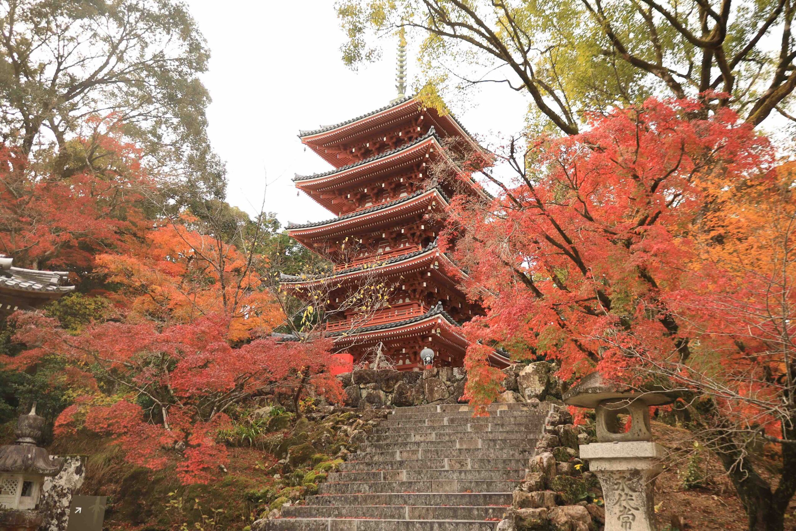 Five-story pagoda at Chikurinji Temple surrounded by deep red autumn foliage Kochi Japan
