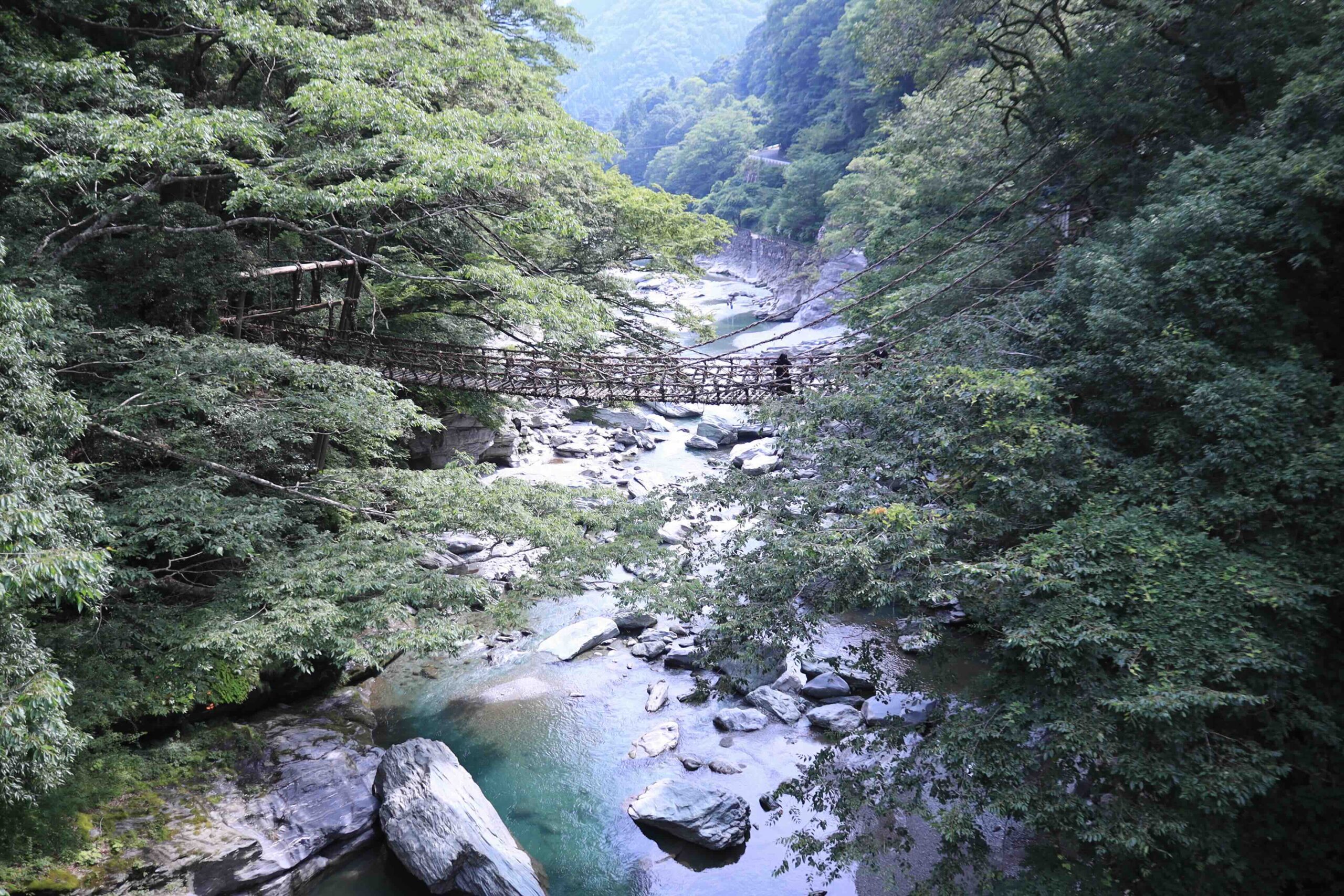 Iya Valley Vine Bridge Tour - vine bridge over the gorge