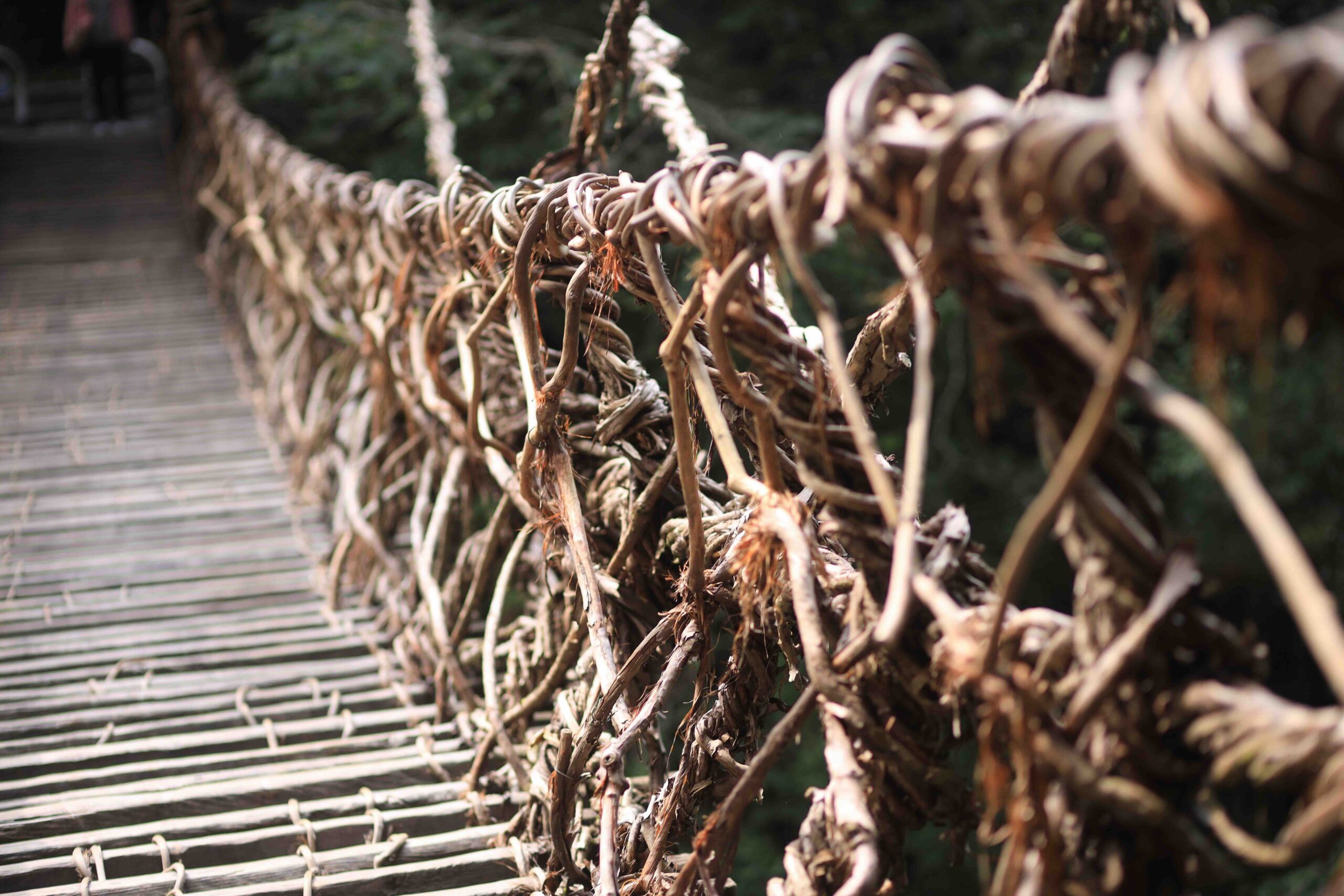 Close-up of woven mountain vines on the Iya Kazurabashi bridge